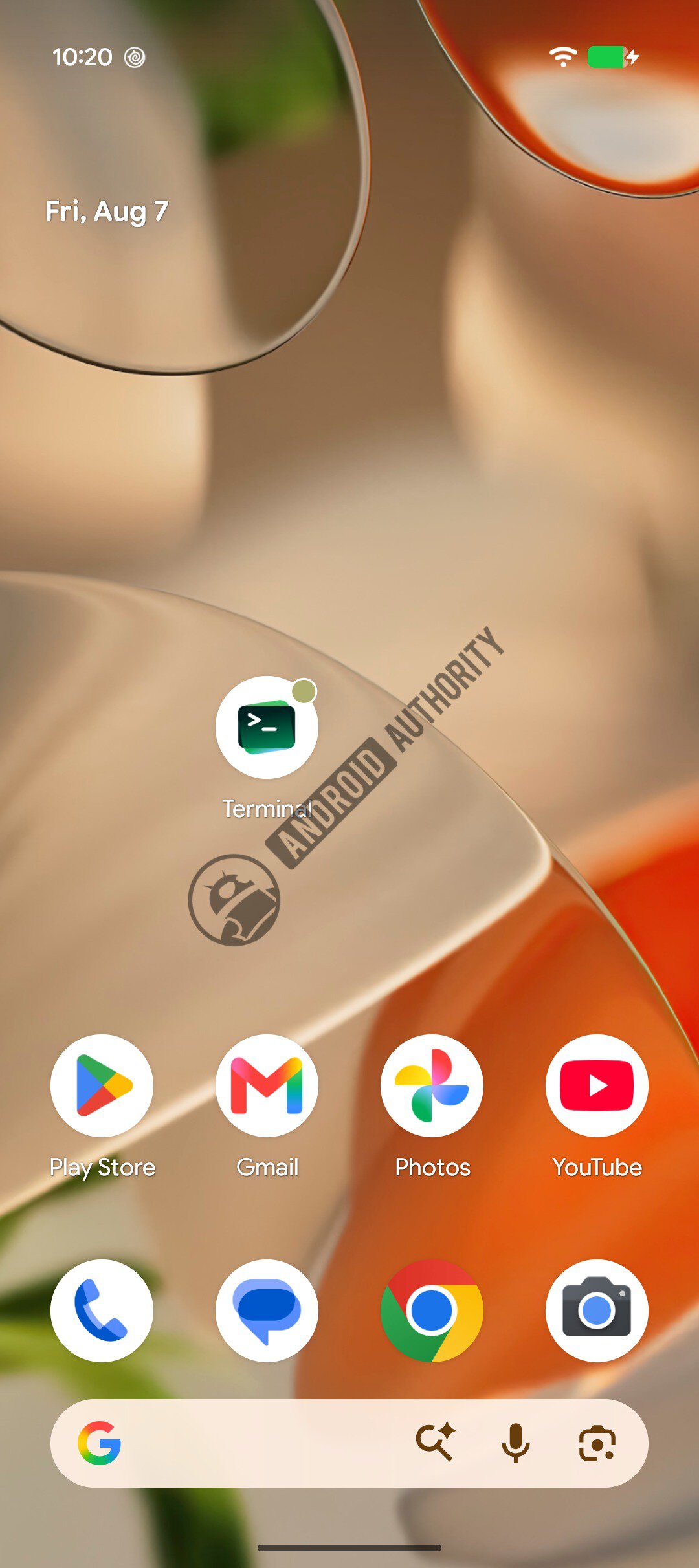 Google Terminal app icon on home screen watermarked