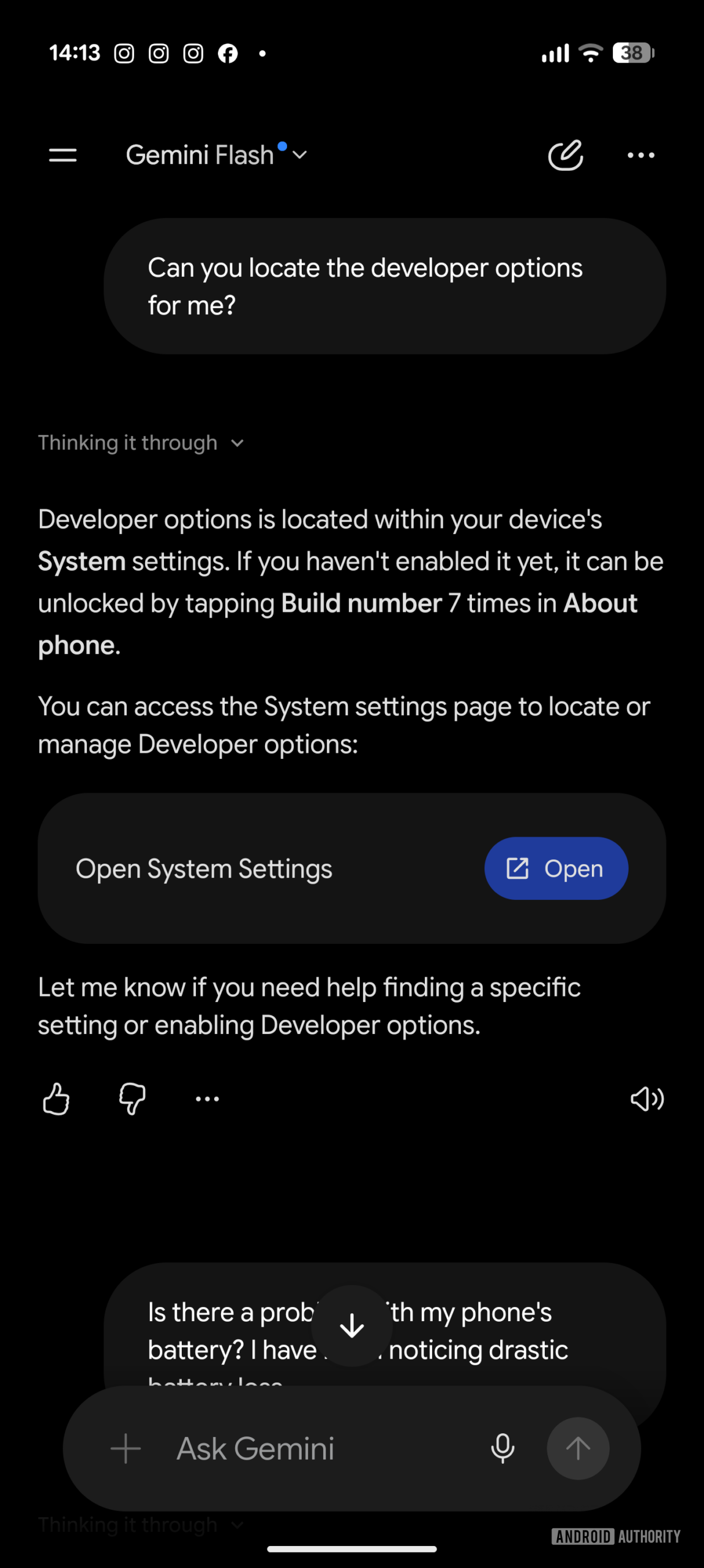 Locating developer options on Gemini Help