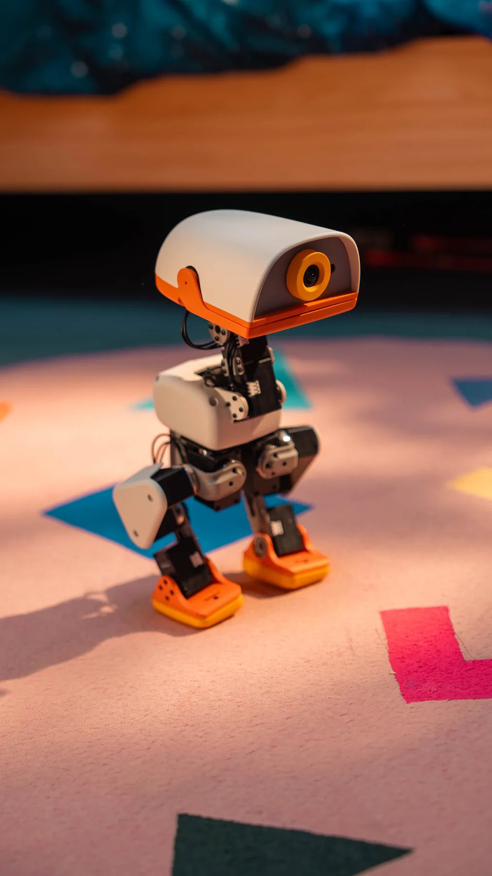 Microduck playroom