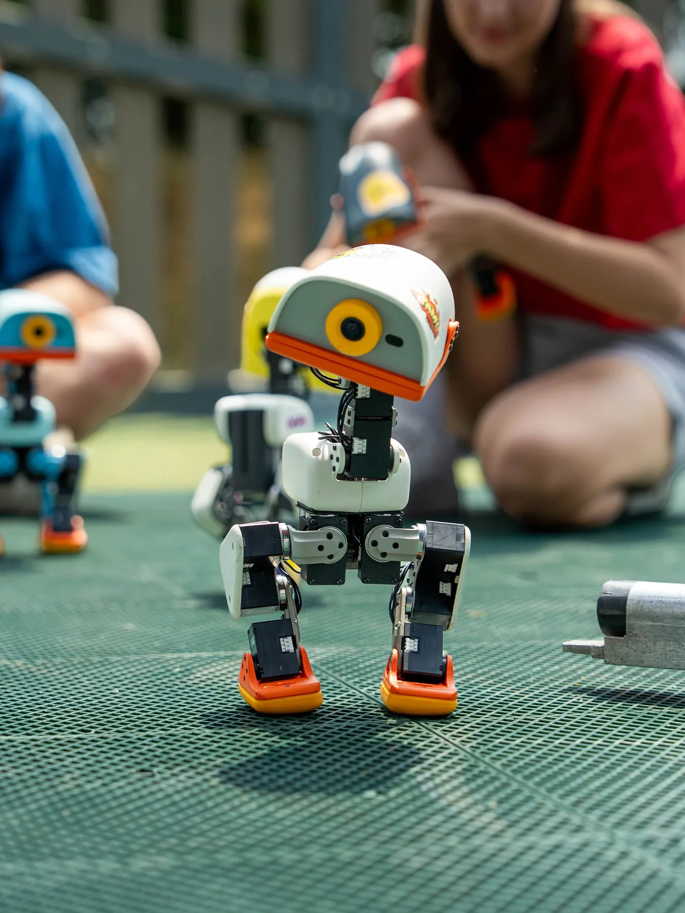 Microduck walkabout