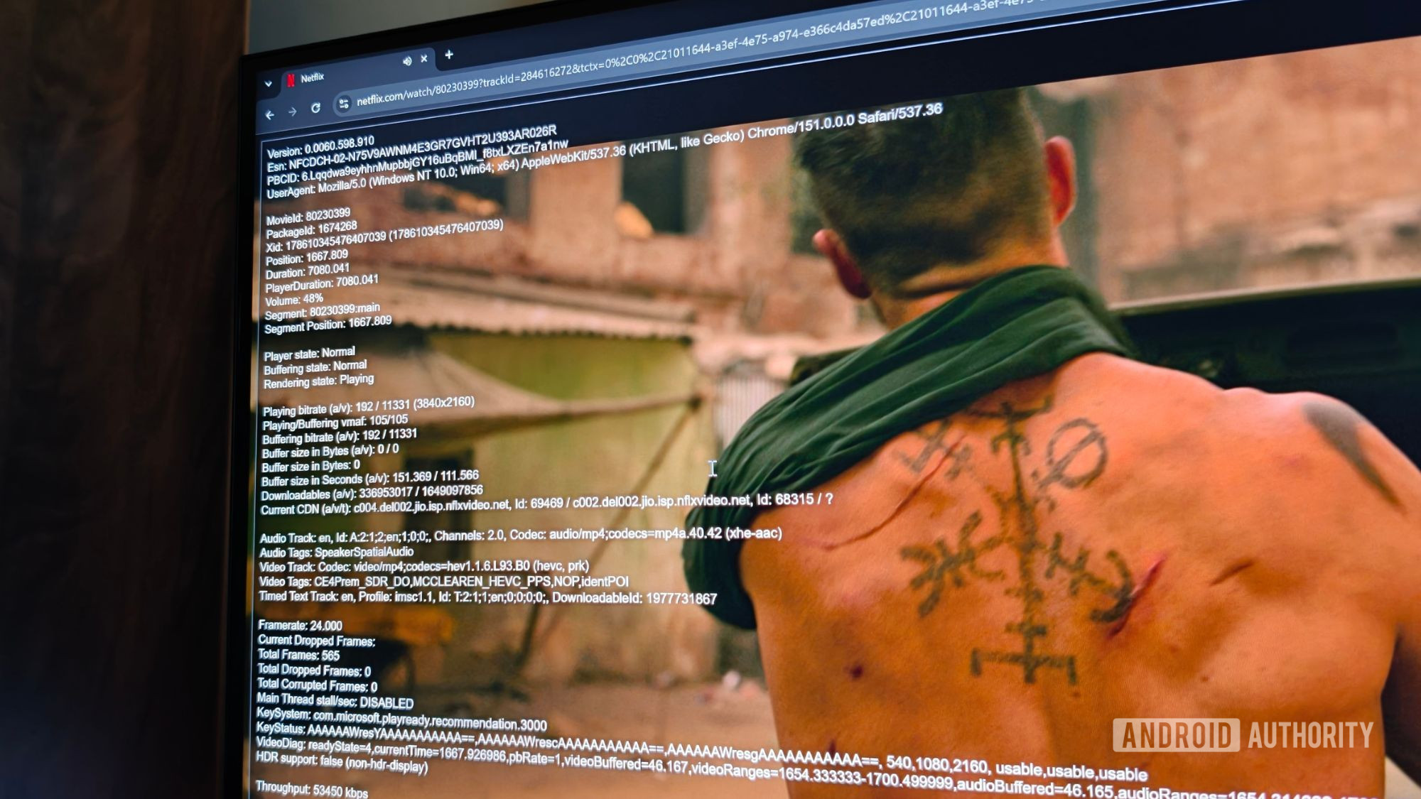 Netflix 4K video stats for confirmation