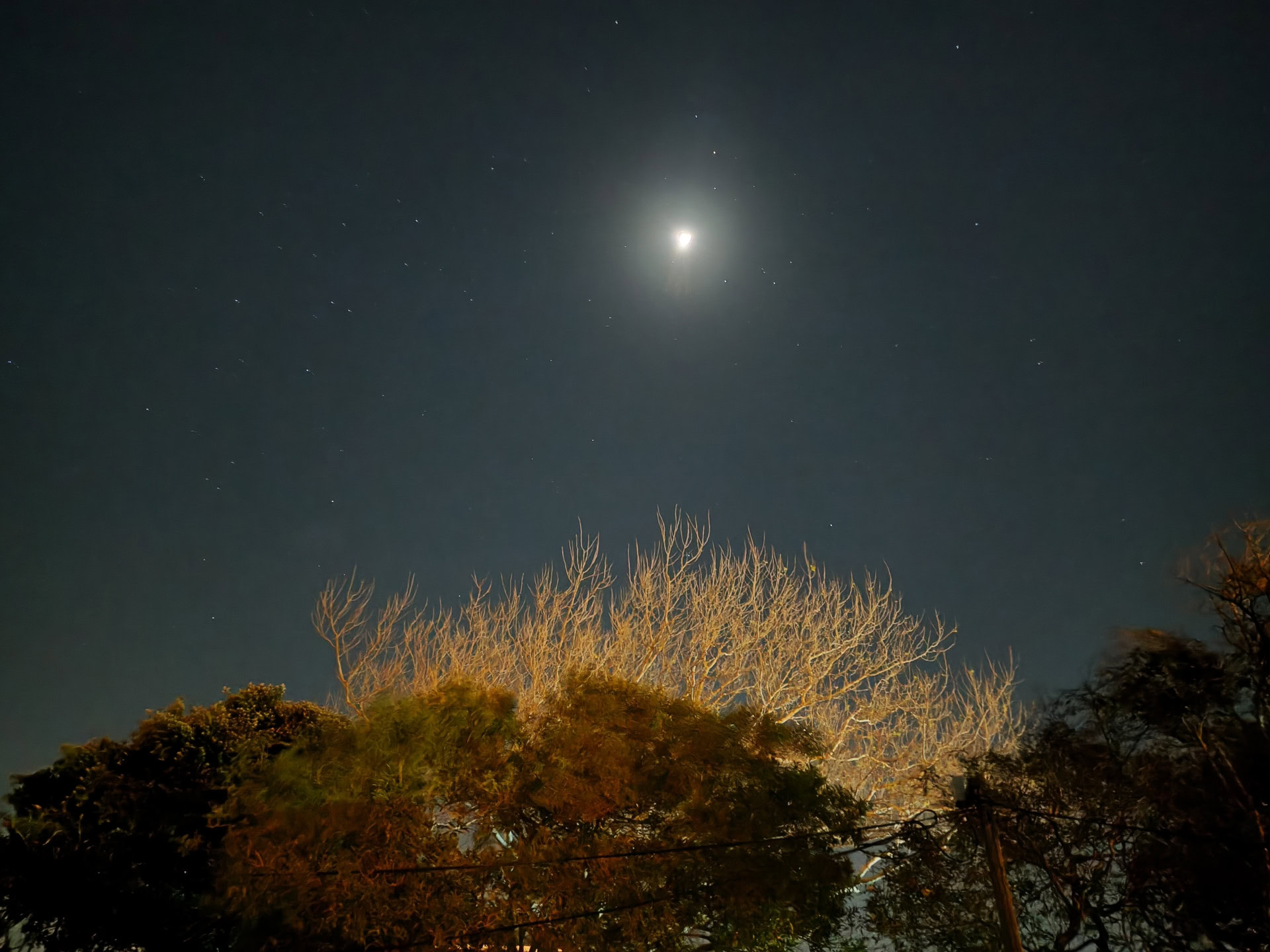OPPO Reno 16 Pro 1x at night