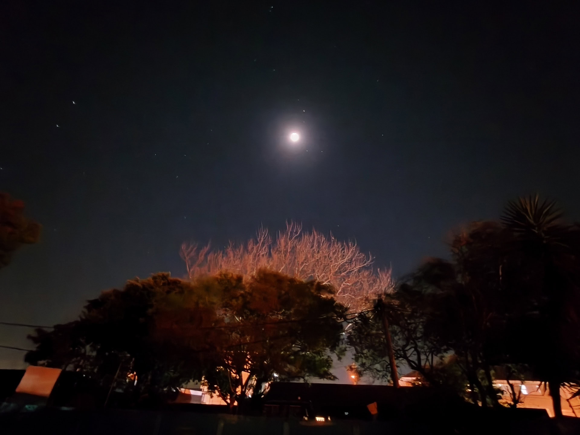 OPPO Reno 16 Pro ultrawide at night