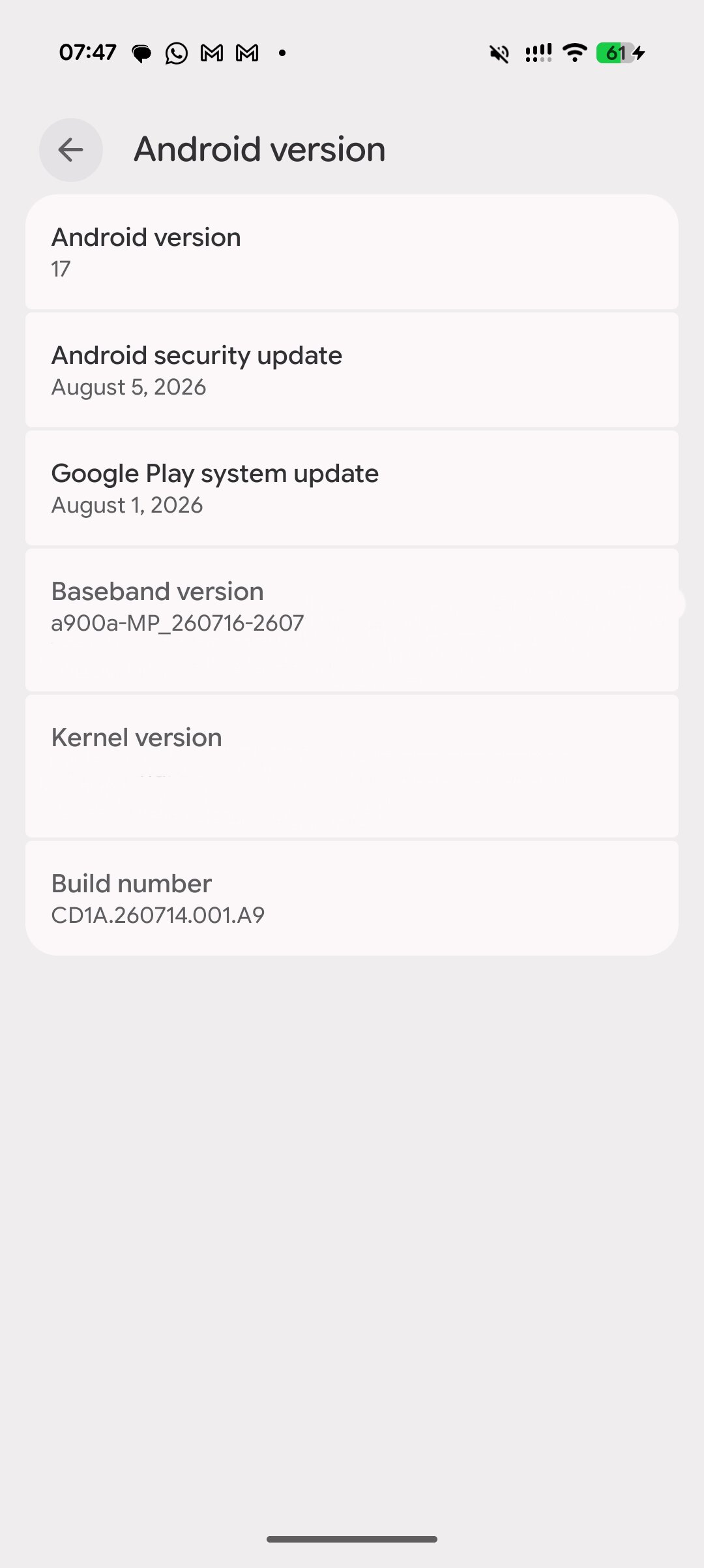 Pixel 11 Pro XL Android Version Screen Pixel 11 Pro XL Android Version Screen