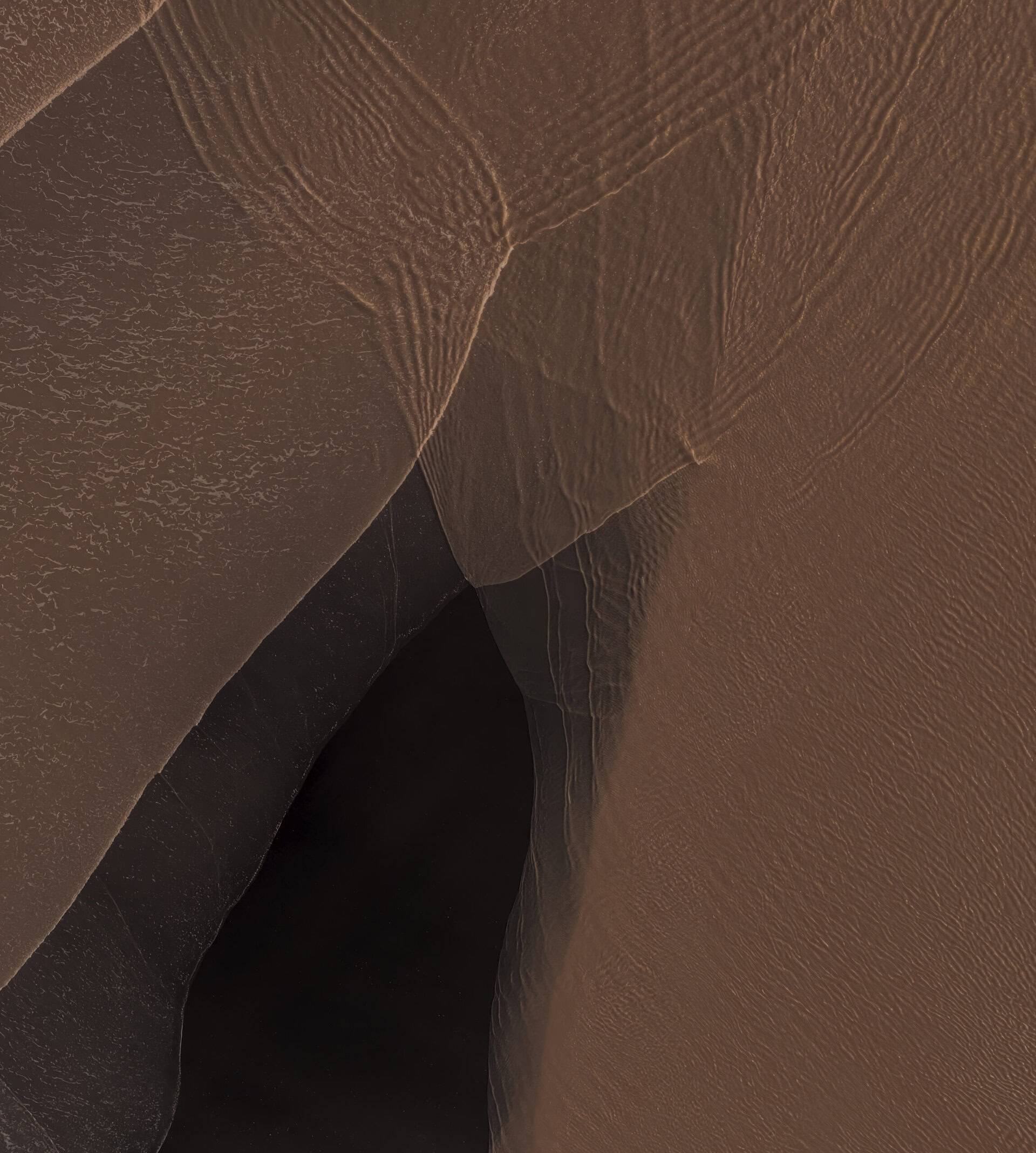 Pixel 11 Pro XL Dune Dark