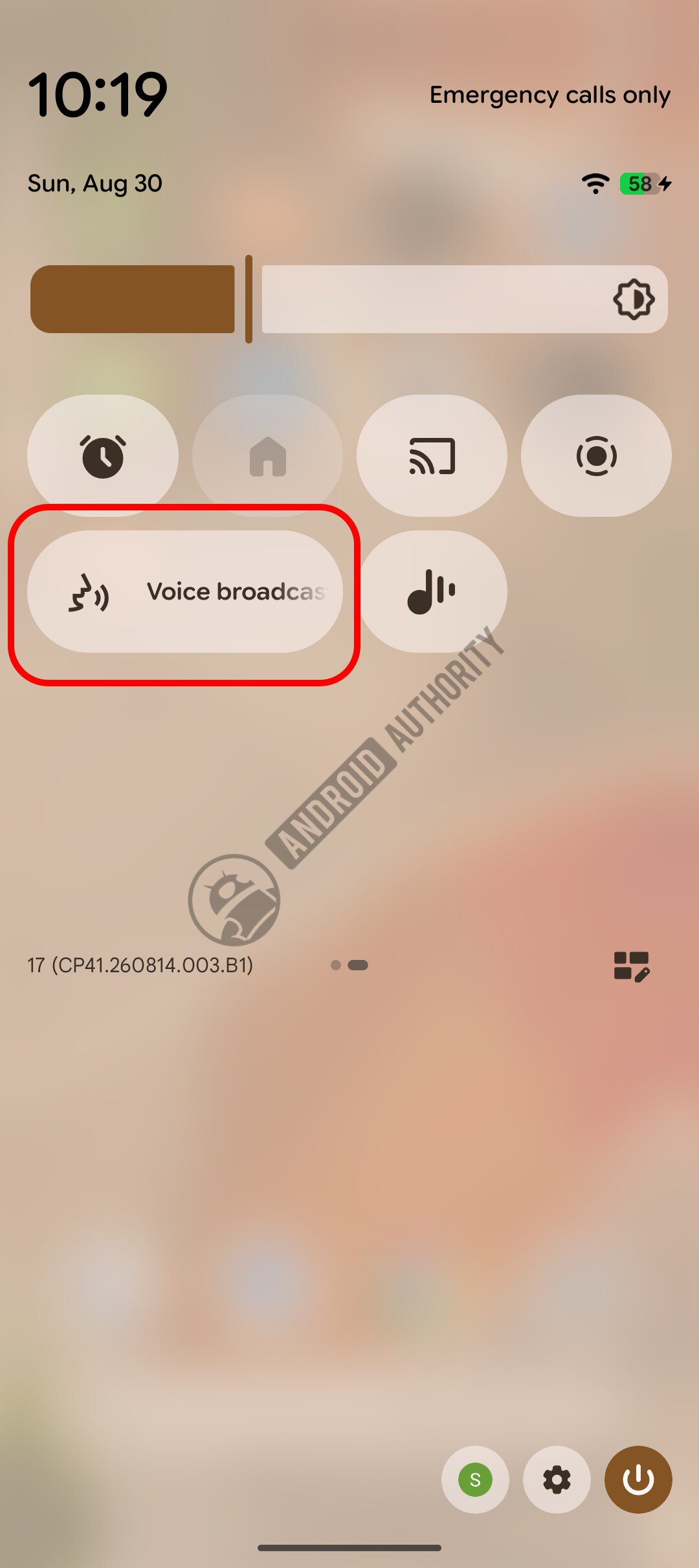 Pixel Voice broadcast watermarked