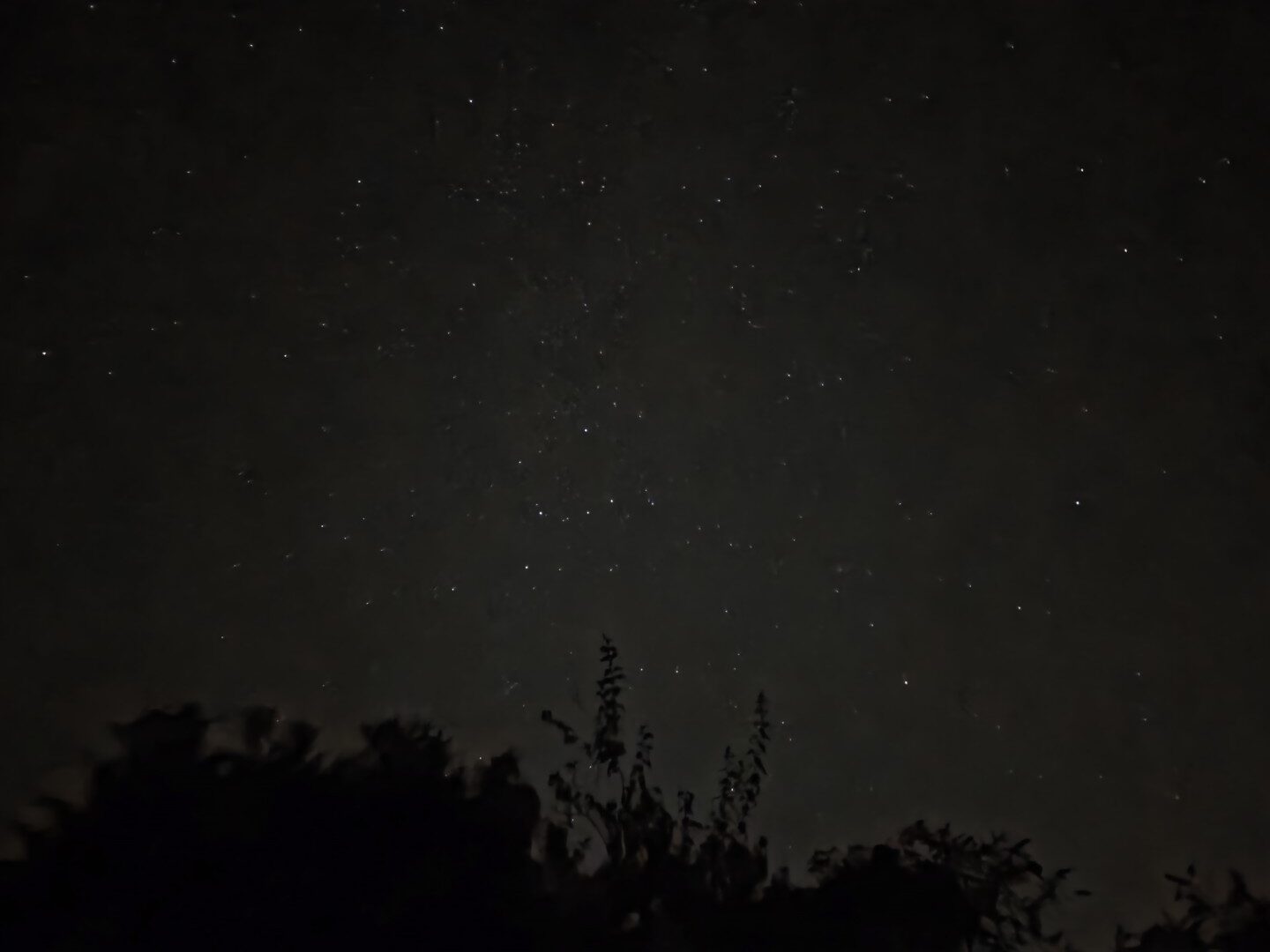 Samsung Galaxy S26 Plus camera sample Stars