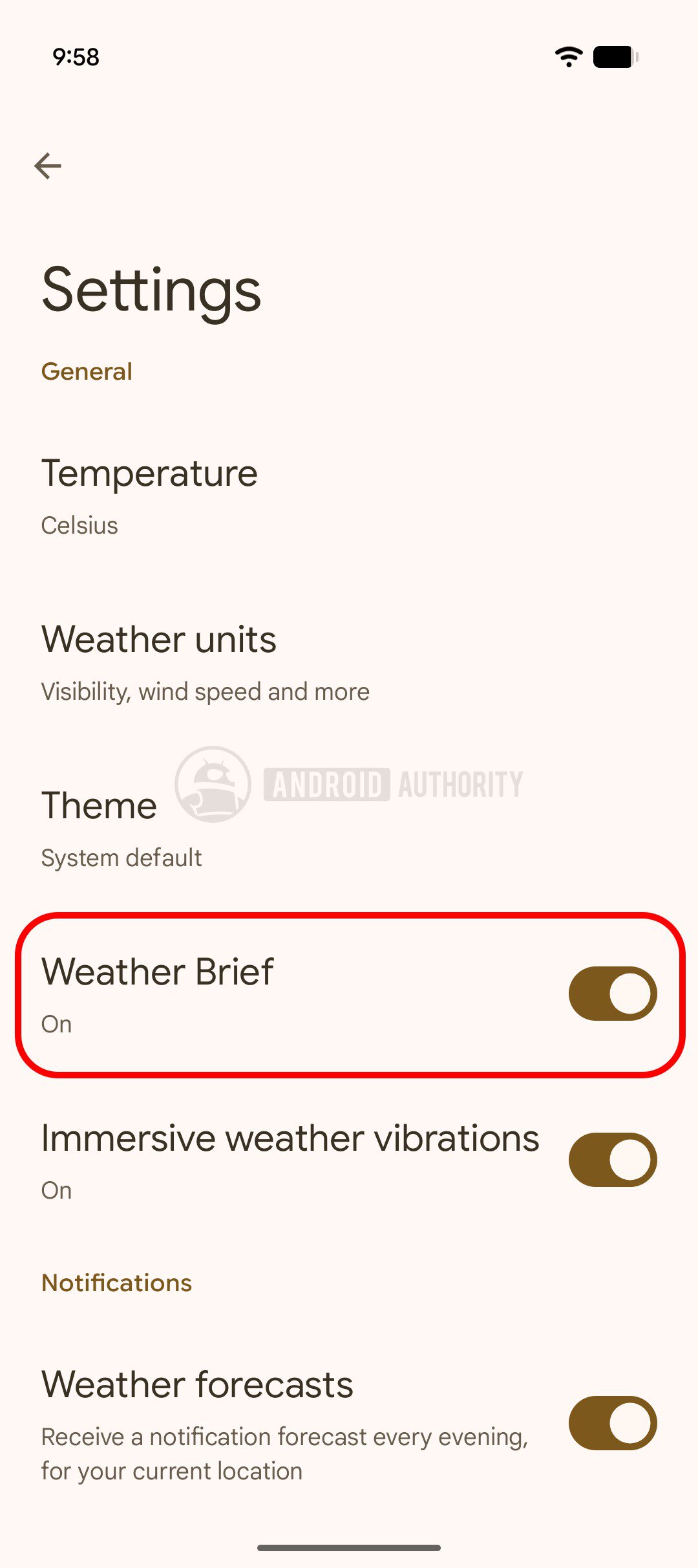 Pixel Weather AI Brief