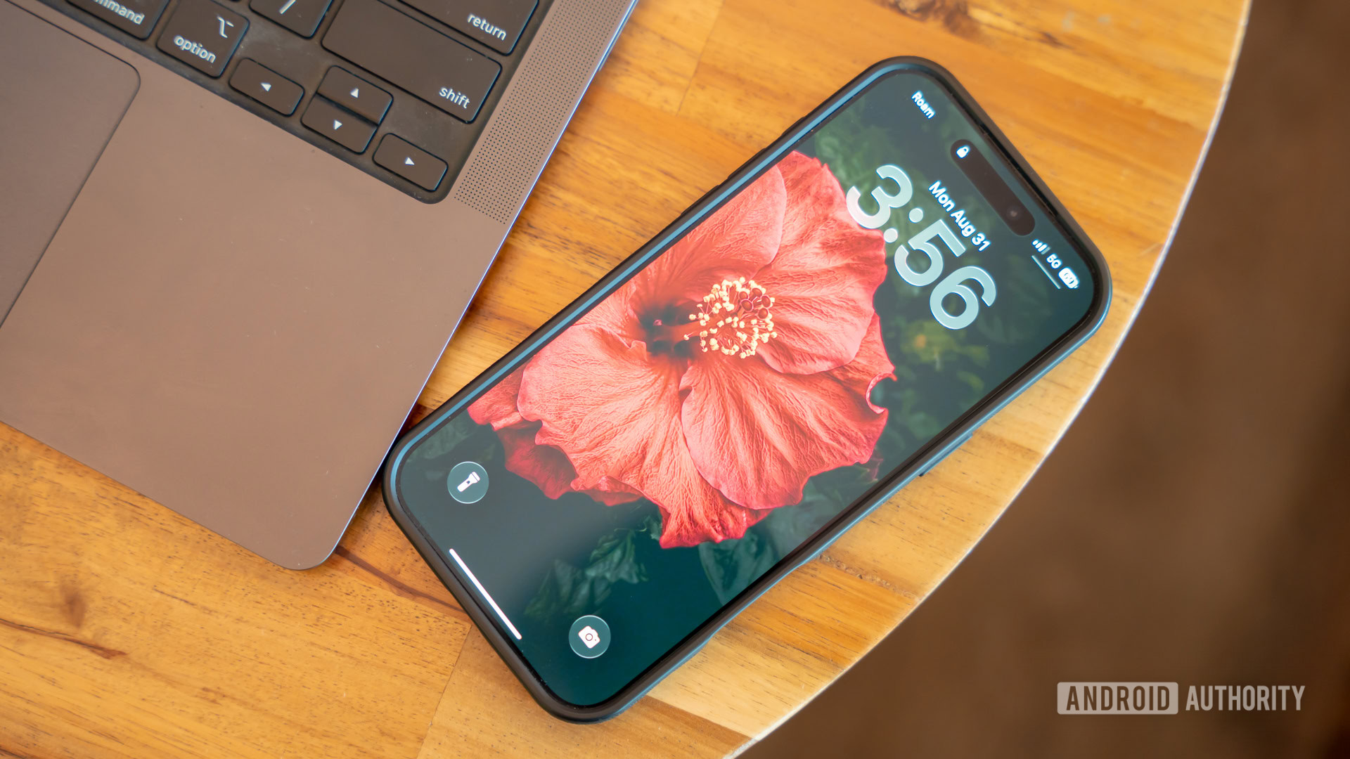 Wallpaper Wednesday red flower Wallpaper Wednesday red flower