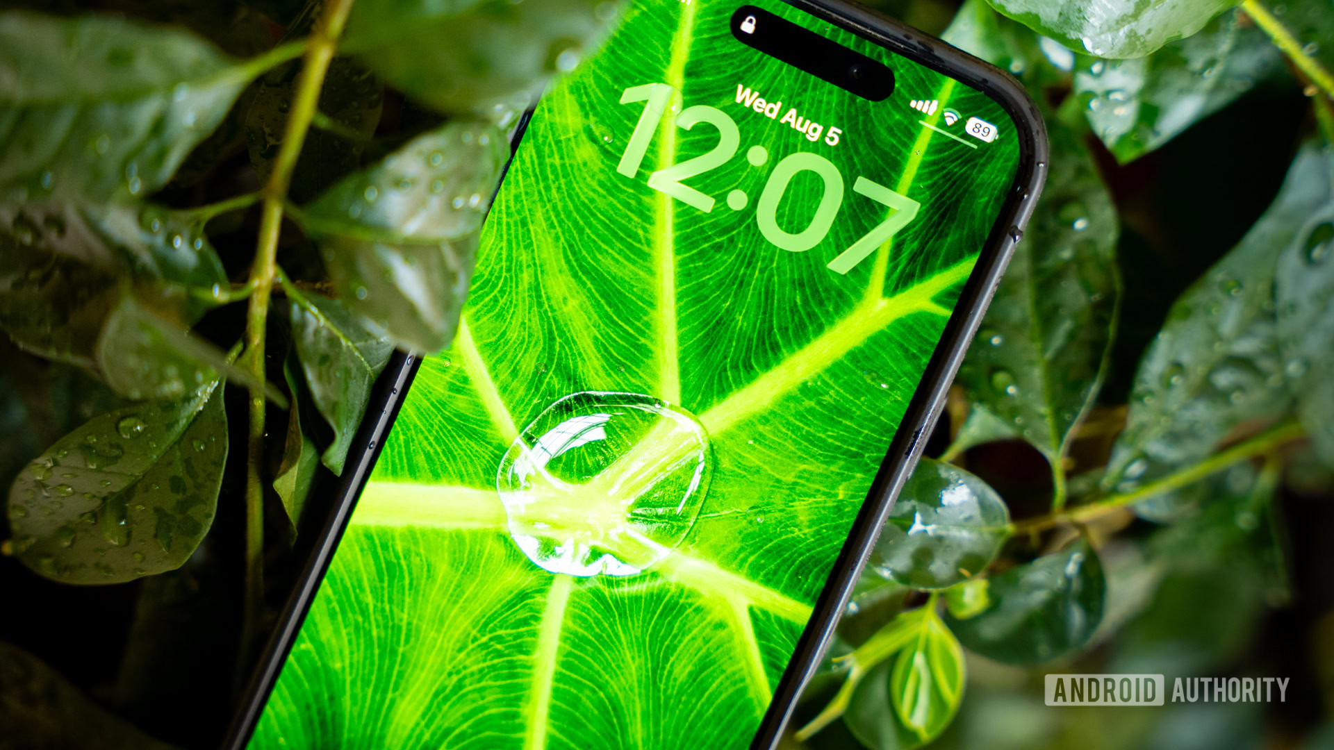 androidauthority.com - Edgar Cervantes - Wallpaper Wednesday: More great phone wallpapers for all to share (August 5)