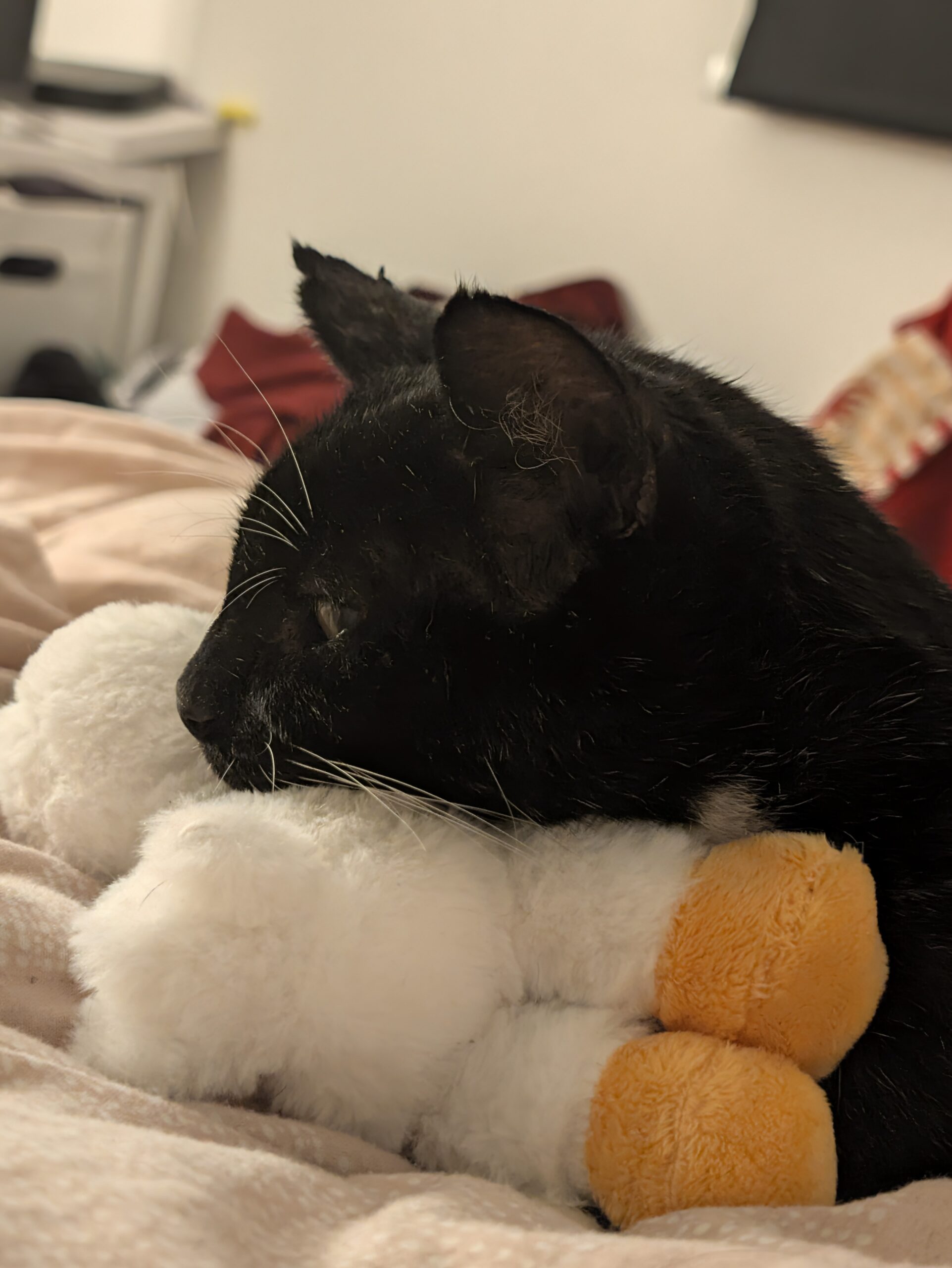 pixel 11 pro bandit00001