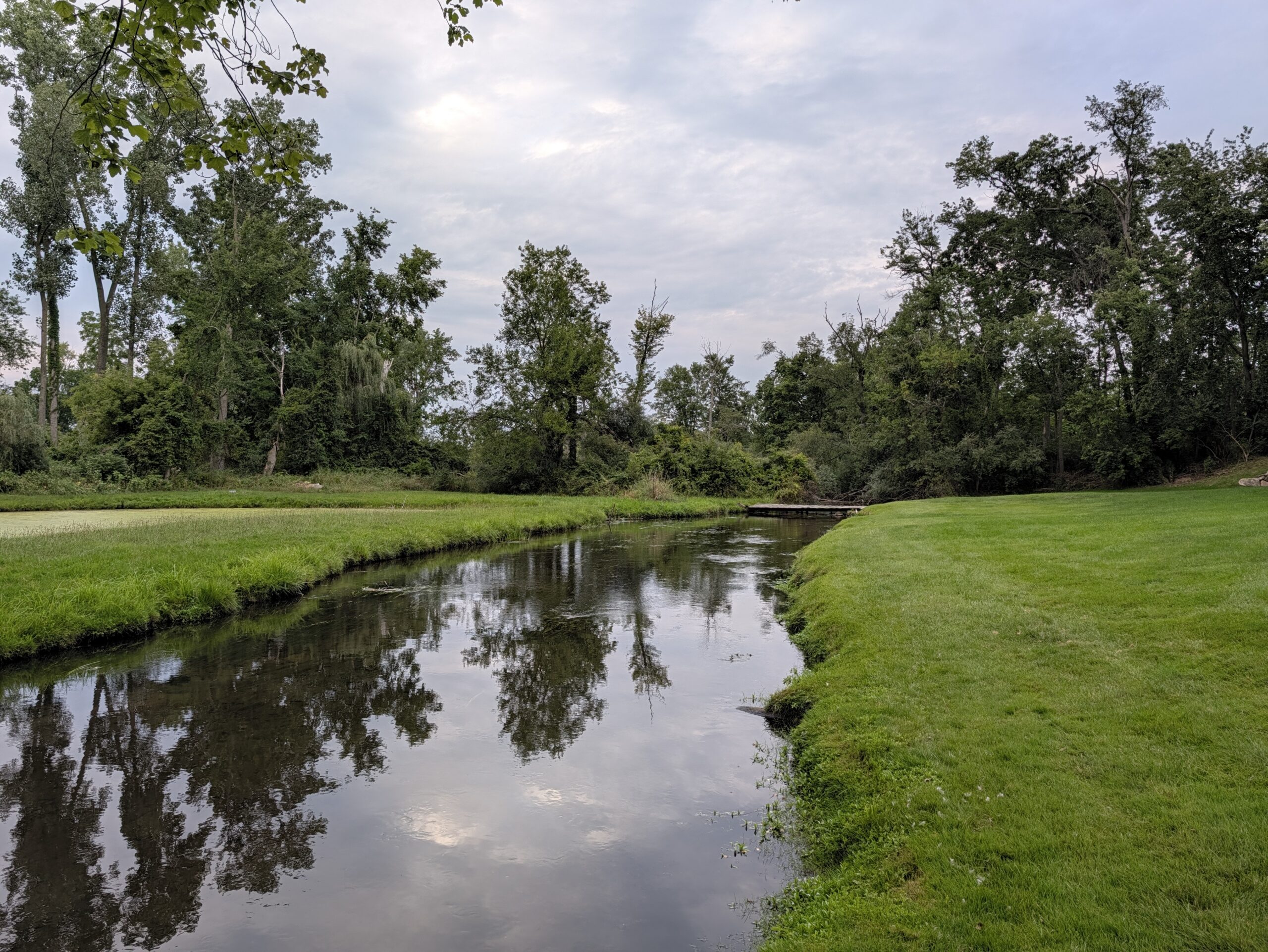 Photo of a small stream, taken with the Pixel 11 Pro.