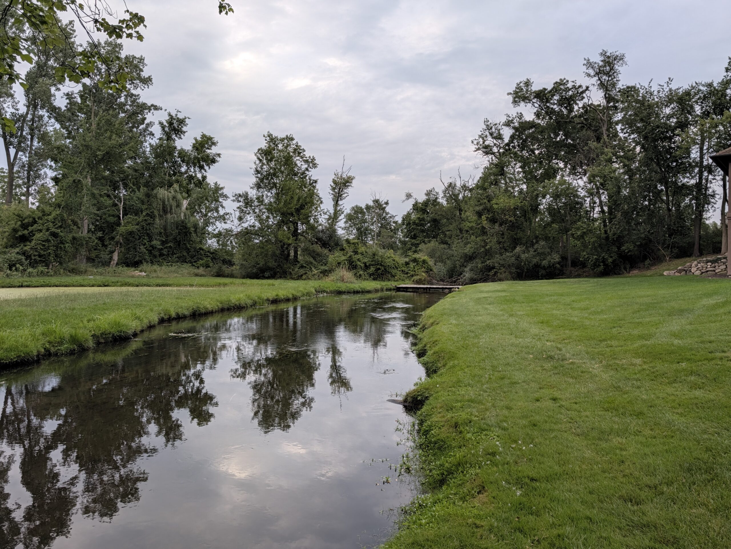 Photo of a small stream, taken with the Pixel 11 Pro.