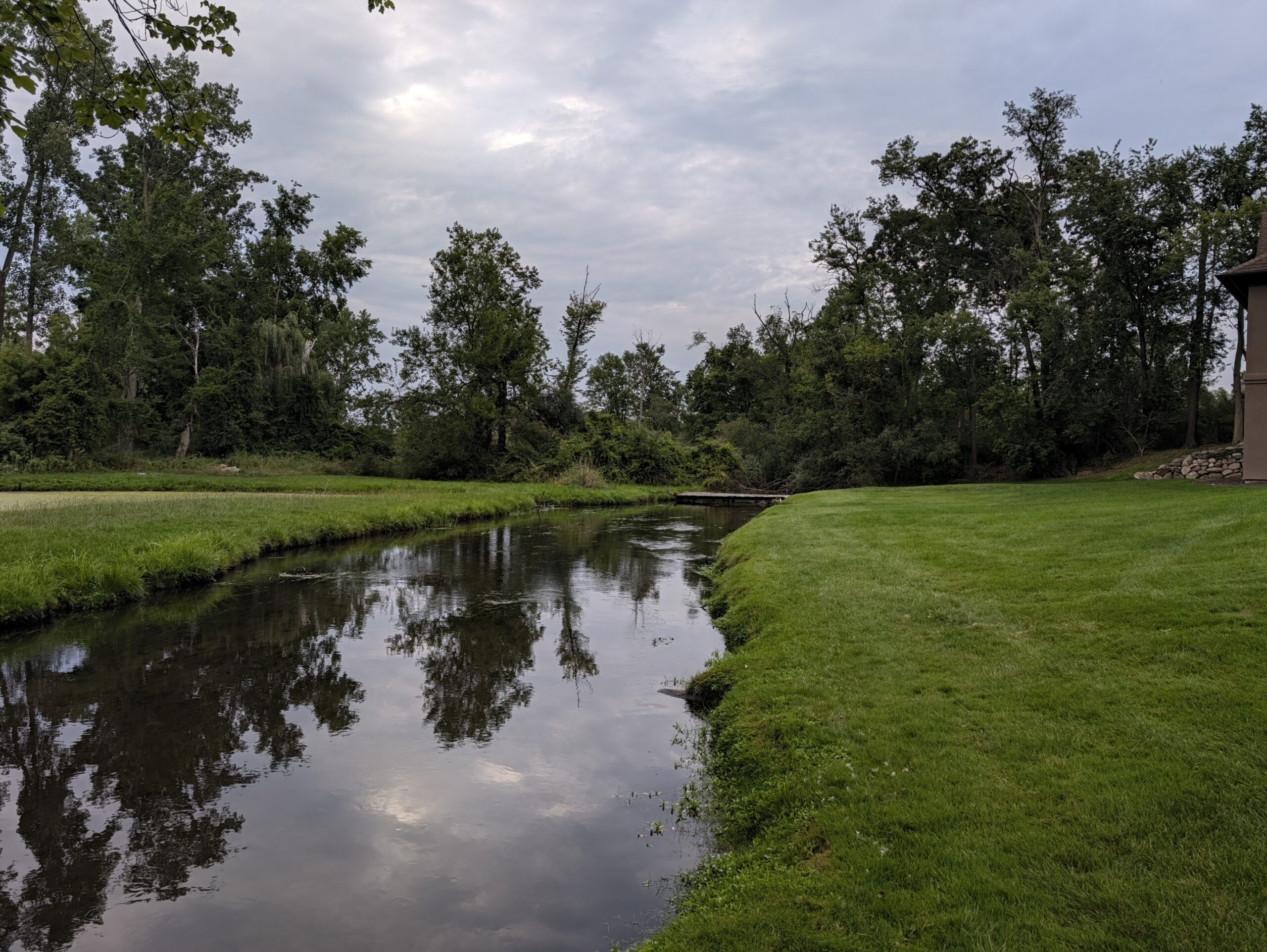 Photo of a small stream, taken with the Pixel 11 Pro.
