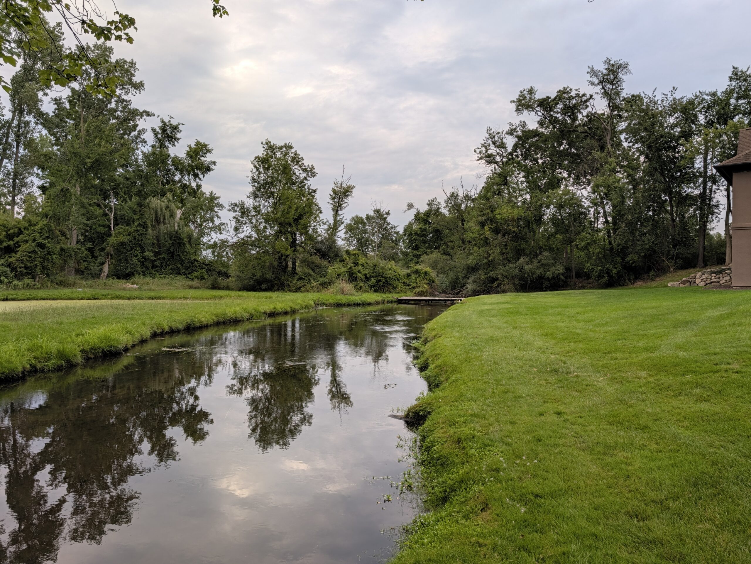 Photo of a small stream, taken with the Pixel 11 Pro.