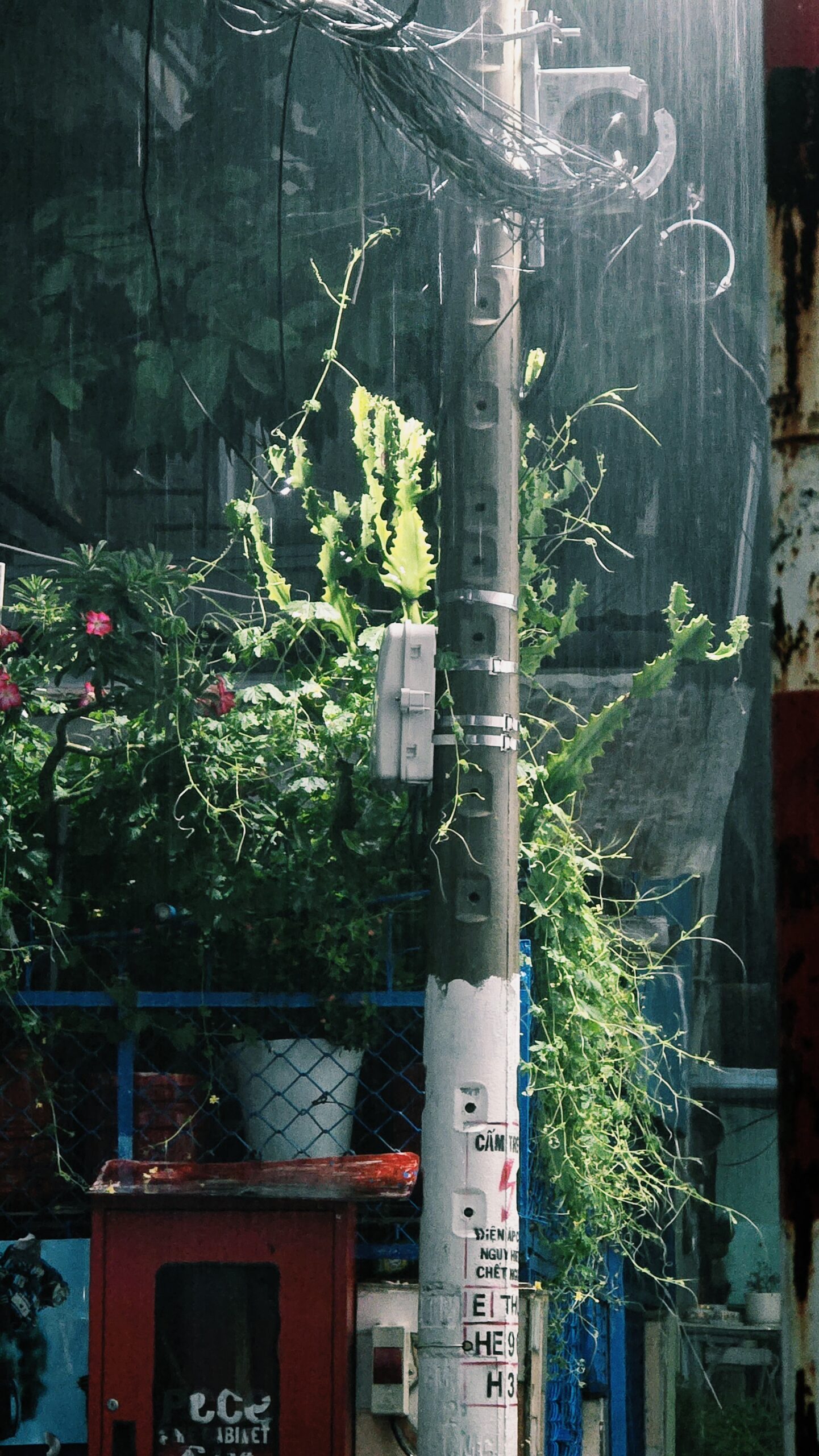 2026 09 30 (5)