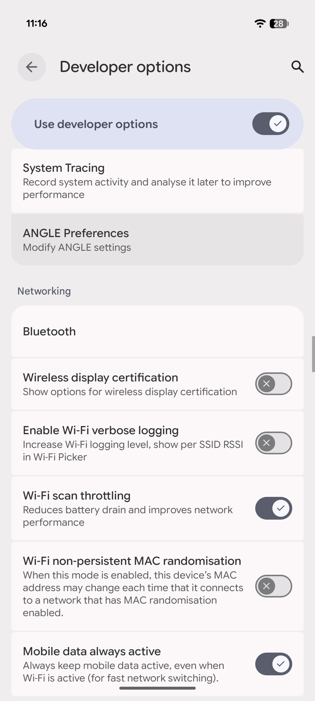 ANGLE Preferences Developer Options screenshot