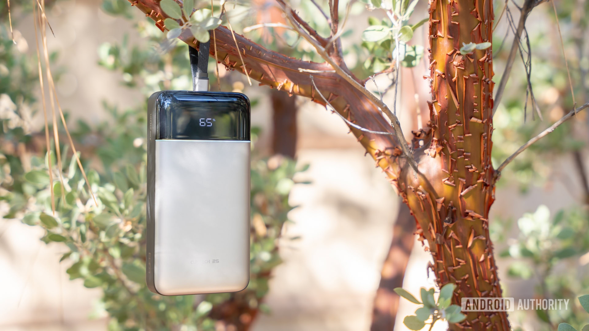 CUKTECH 25 Power Bank SE hanging 2 CUKTECH 25 Power Bank SE hanging 2