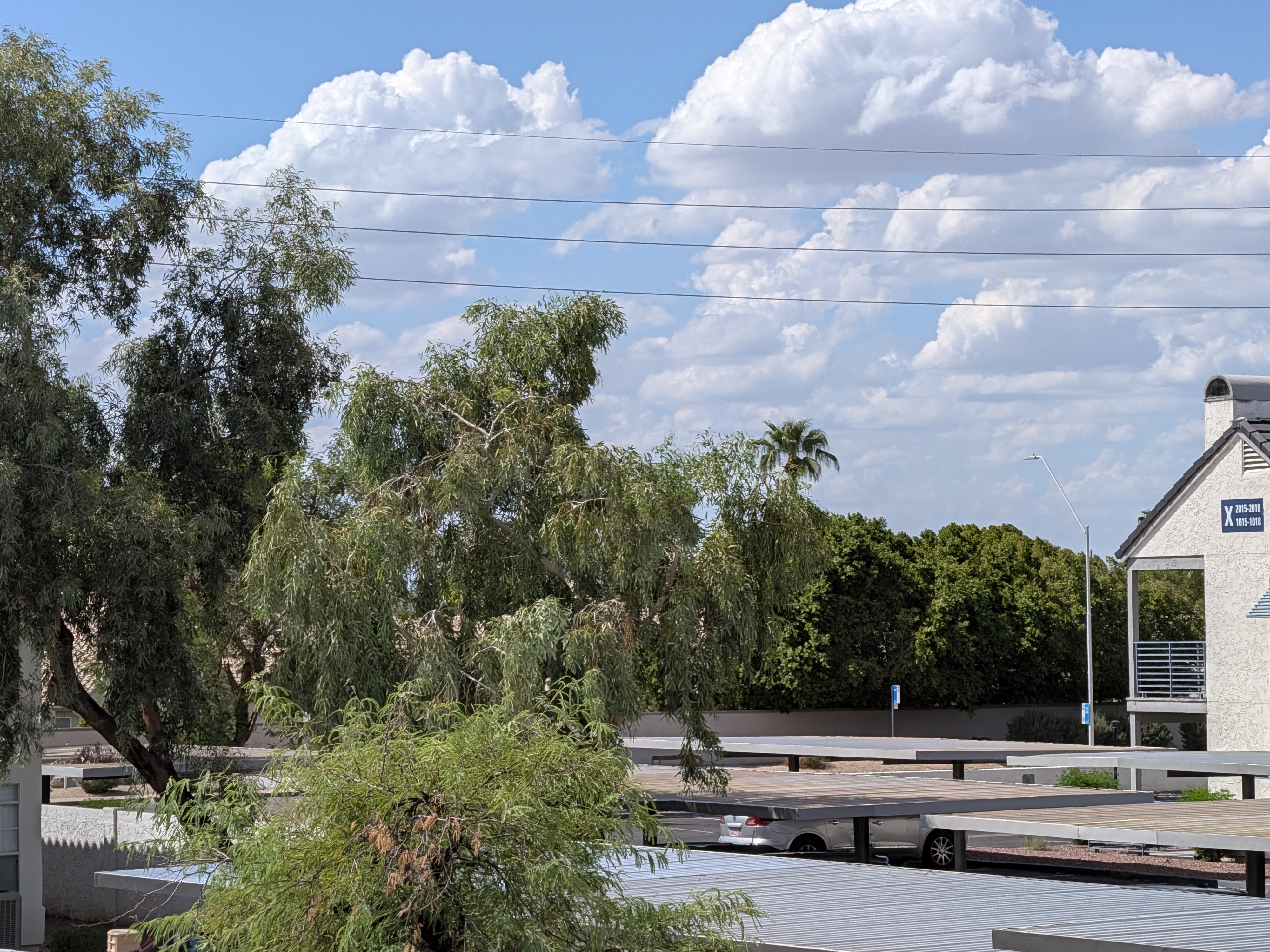 A landscape shot as captured by the Pixel 11 camera at 5x zoom.