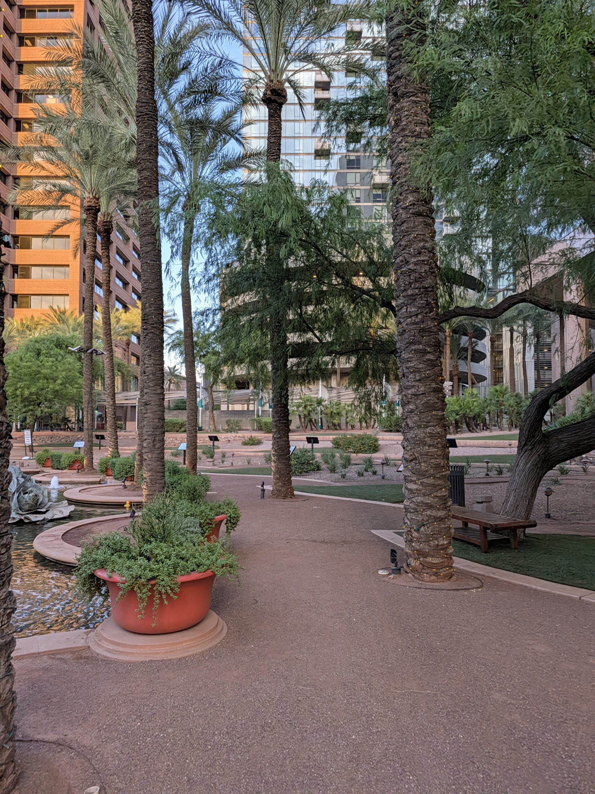 Palm trees in a plaza as captured by the Google Pixel 11 camera.