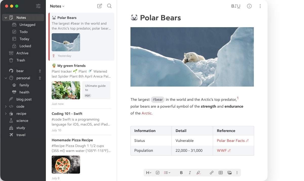 bear notes bear notes
