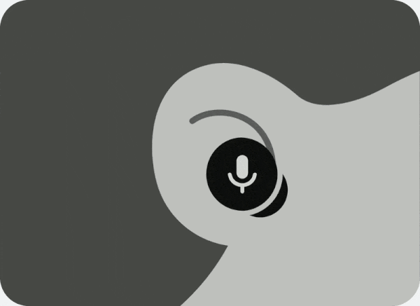 buds mute unmute