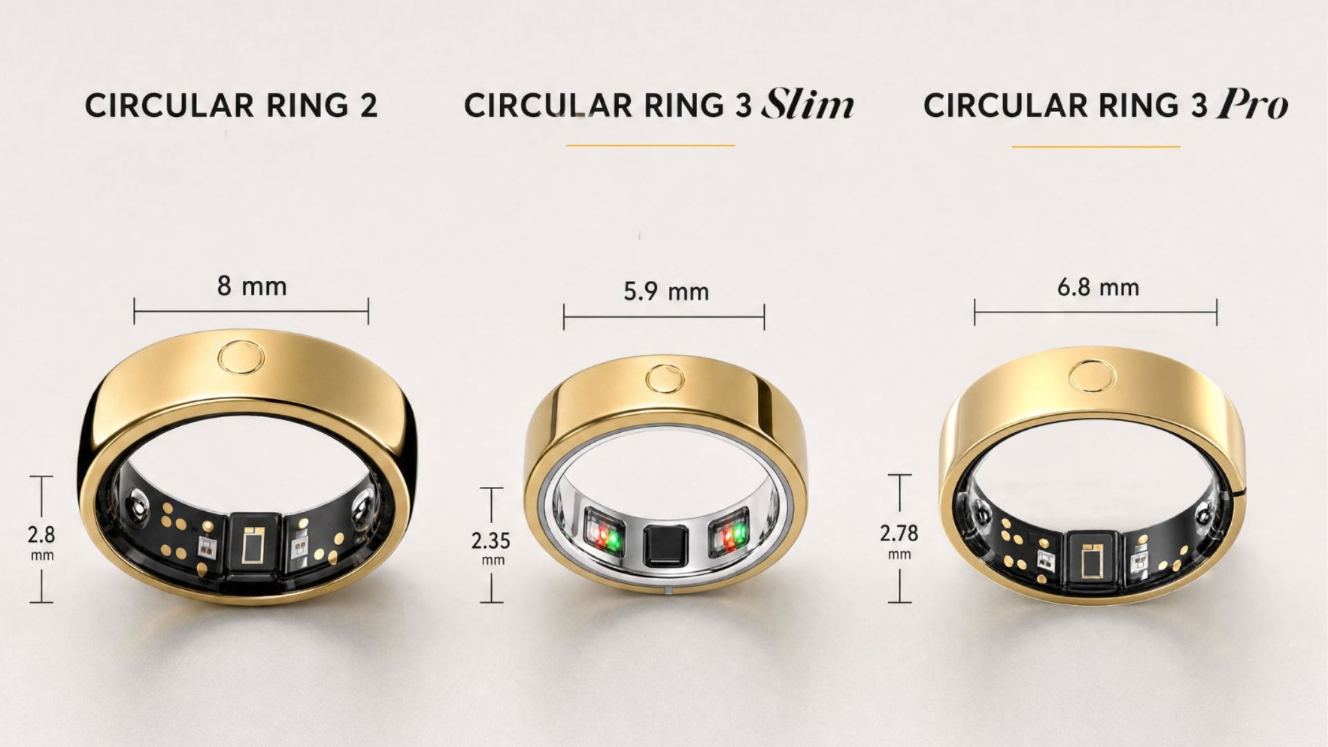 circular ring 2 3 sizes circular ring 2 3 sizes
