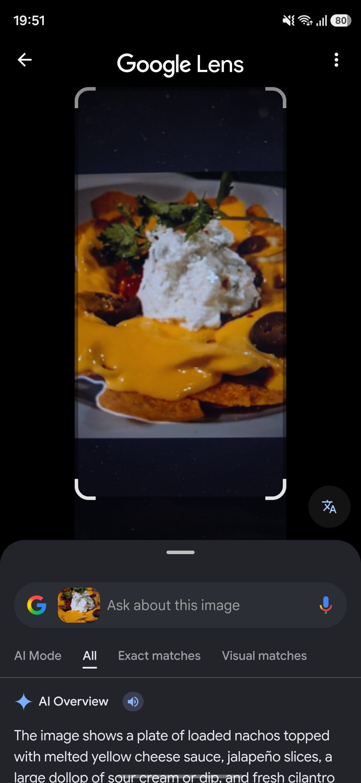 Looking up a food dish in Google Lens.