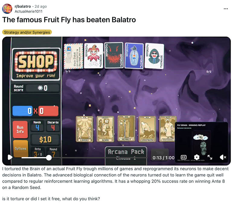 fruit fly balatro reddit post fruit fly balatro reddit post