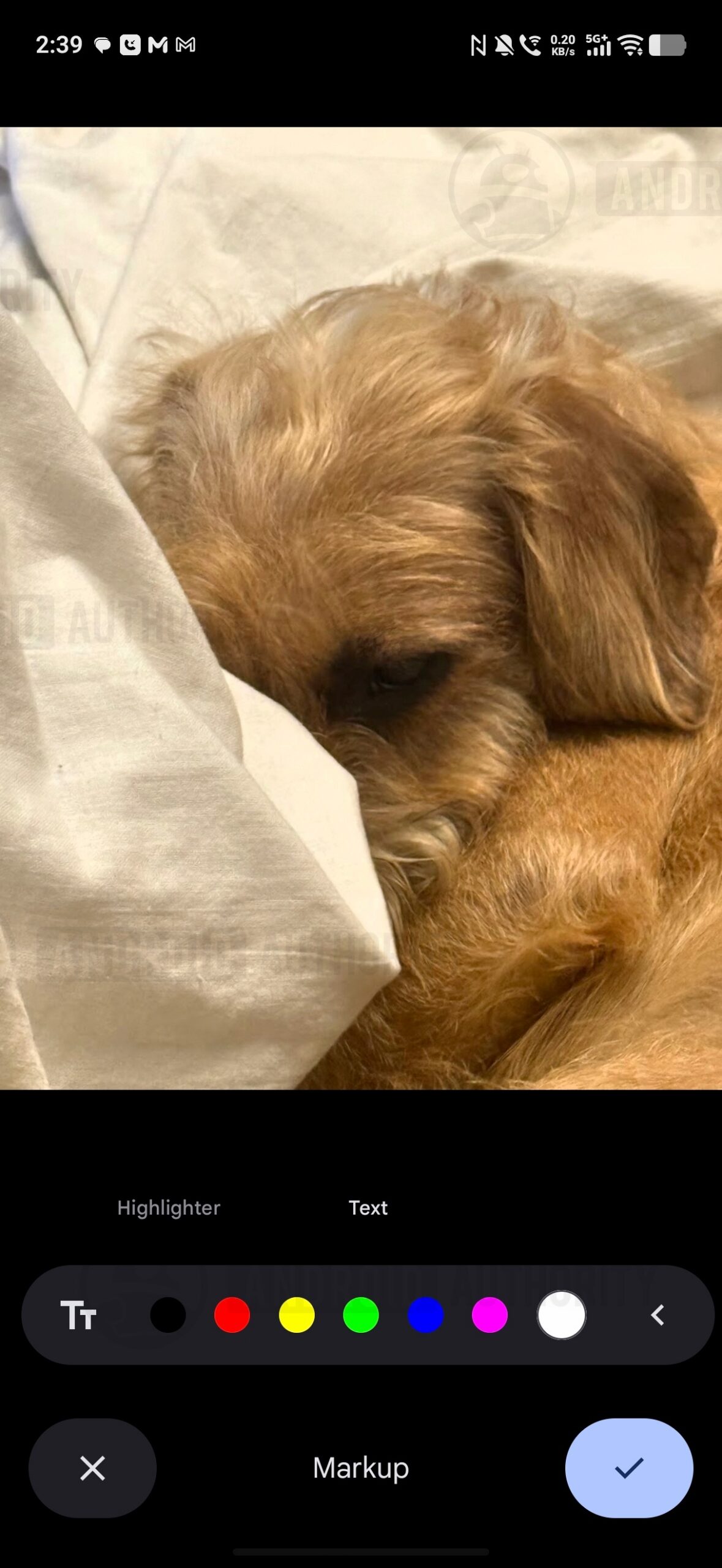 google photos markup tools image 3 watermarked