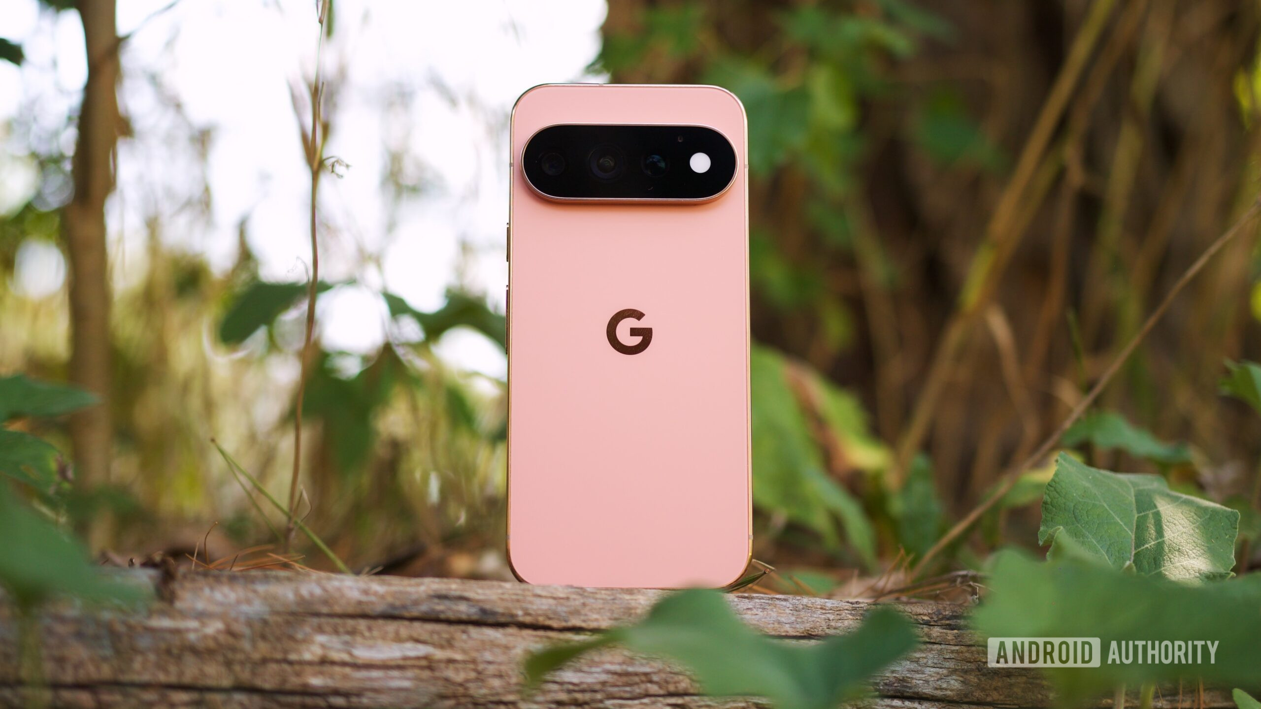 Canyon Pixel 11 Pro standing upright outside.