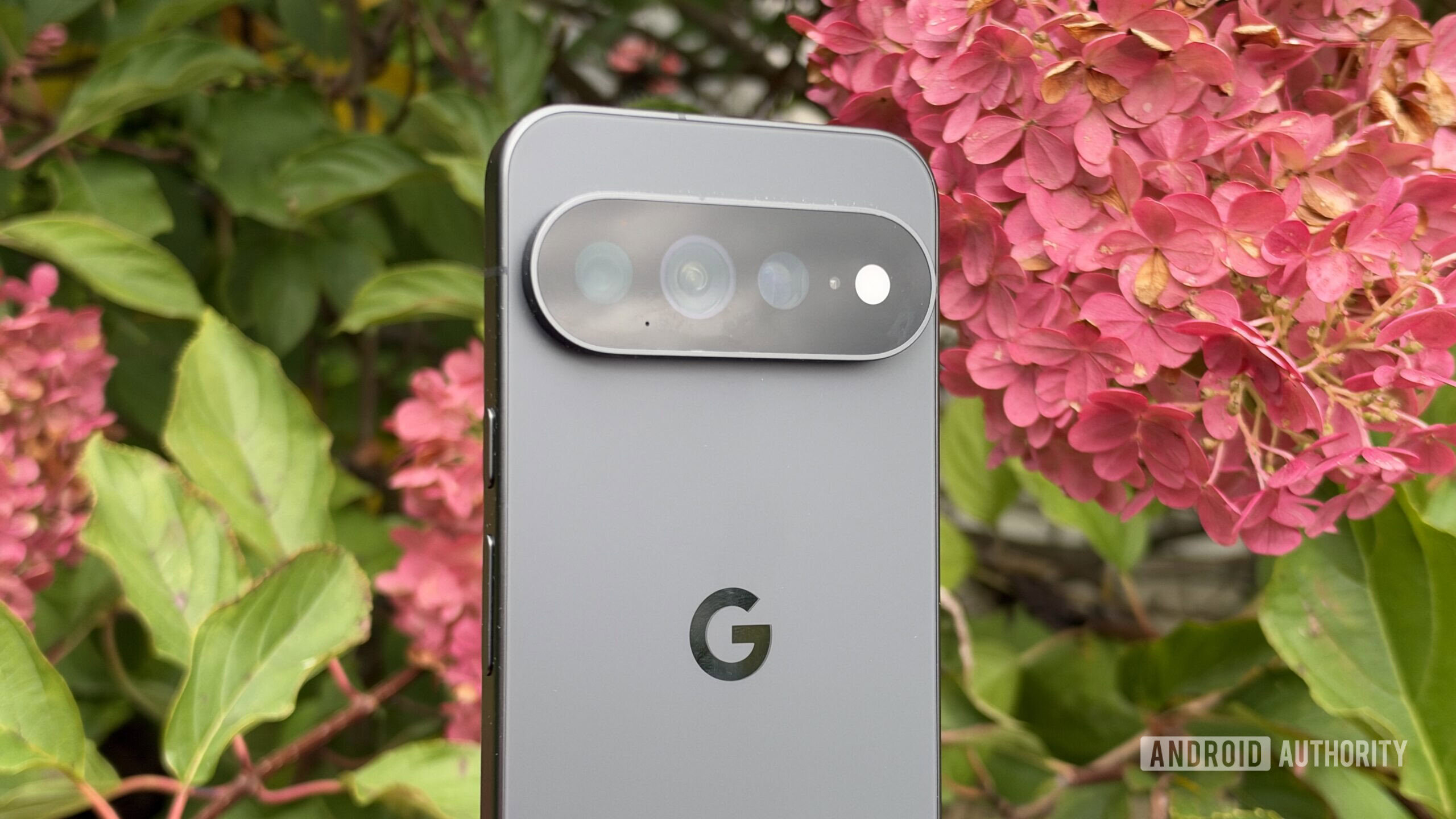 google pixel 11 pro xl pink flowers google pixel 11 pro xl pink flowers