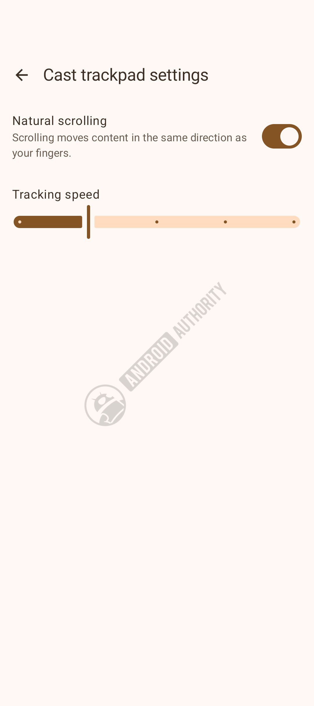 googlebook cast trackpad 2 watermarked