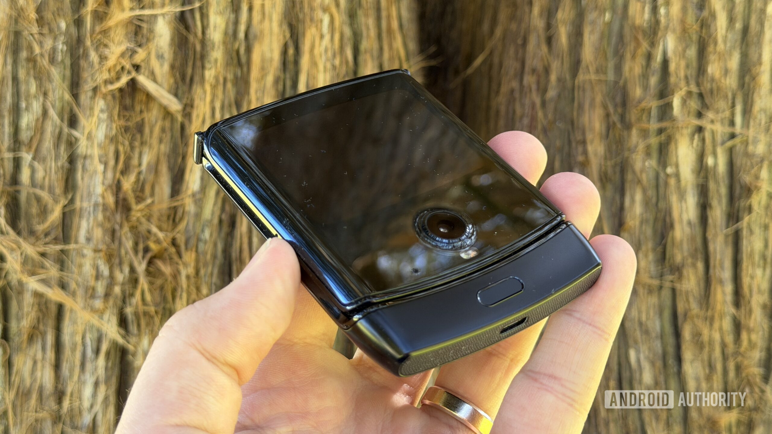 motorola razr 2019