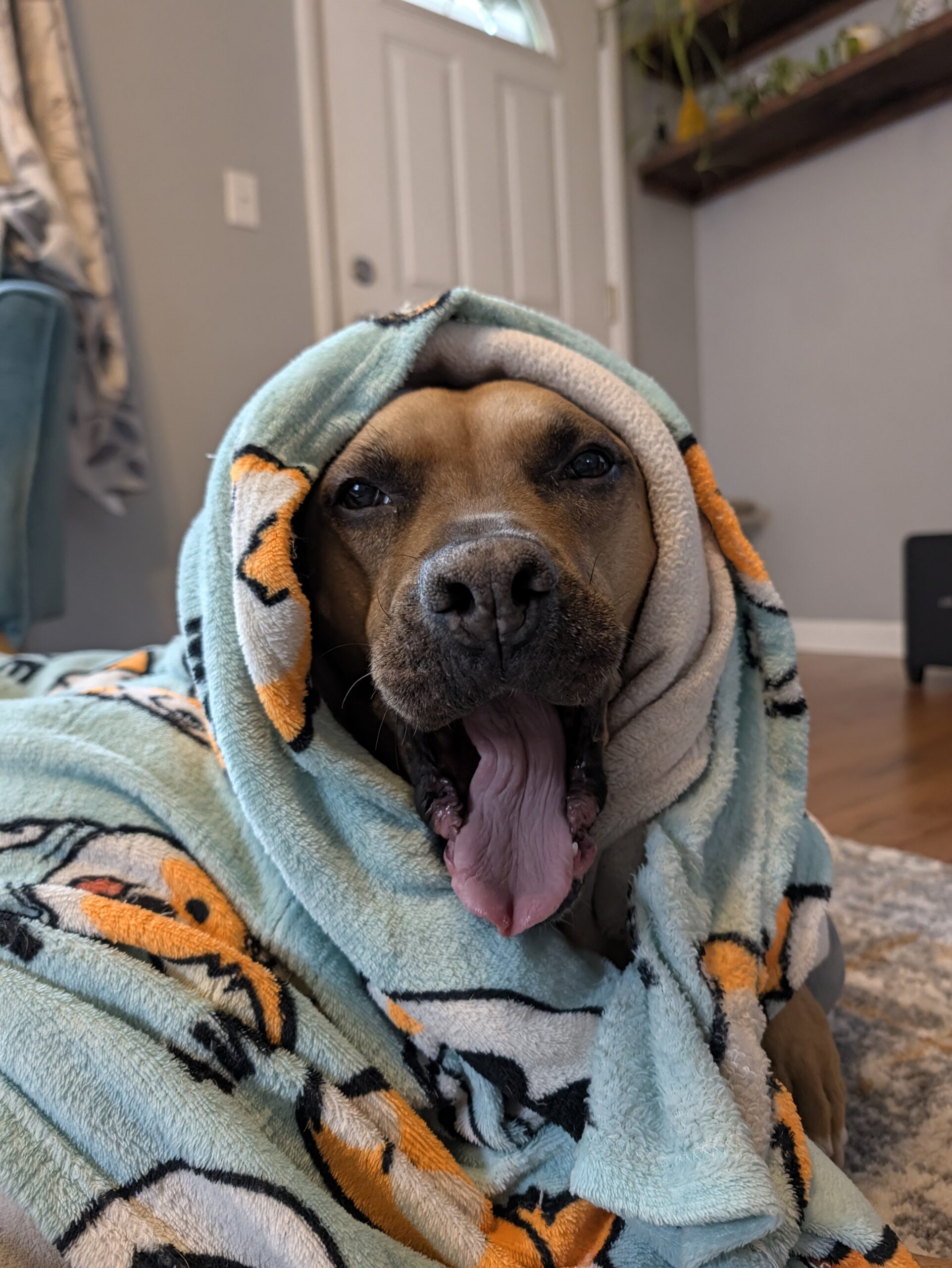 pixel 11 pro camera samples 2