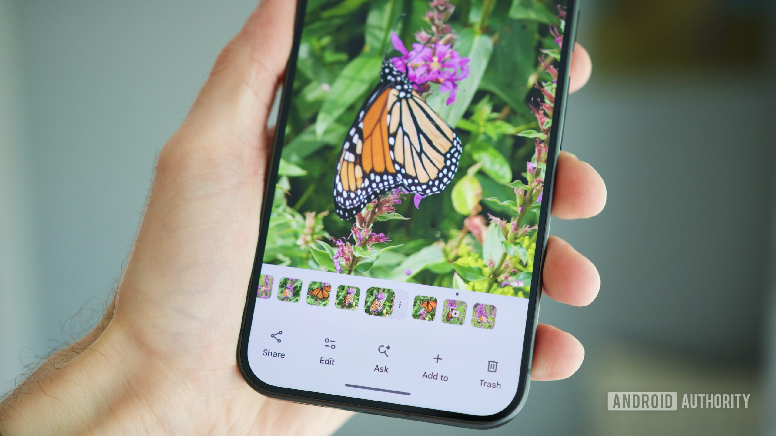 stacked pictures google photos android app Stacked pictures in the Google Photos Android app.