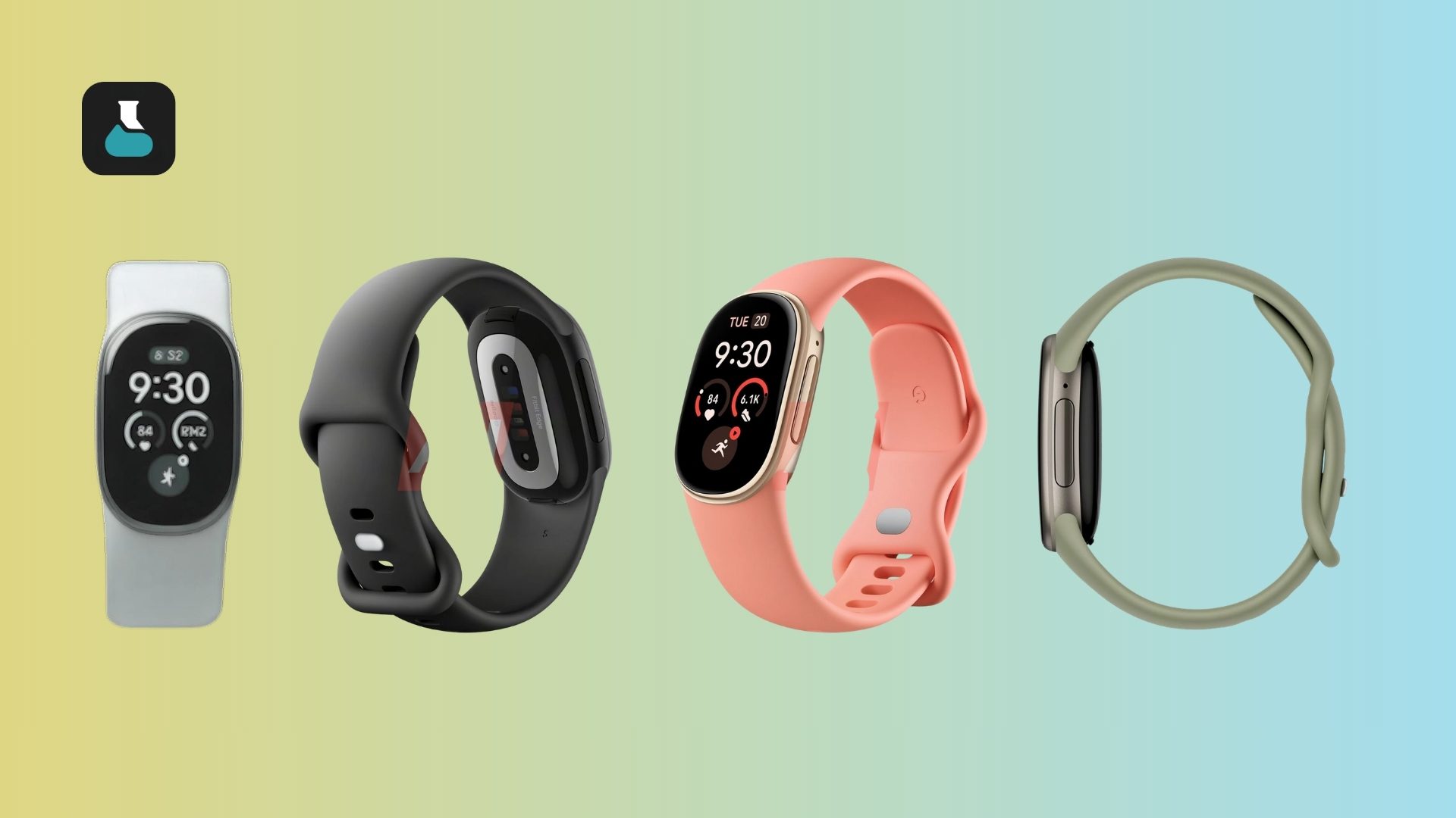 Fitbit Edge Colors