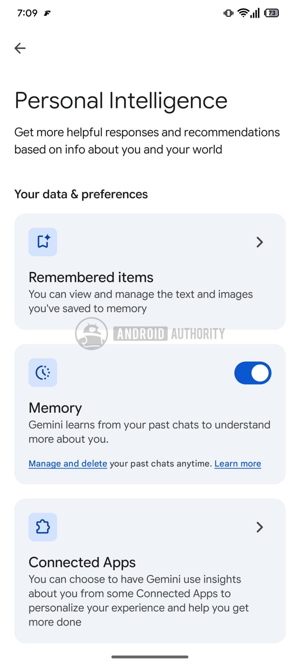 Gemini remembered items 1
