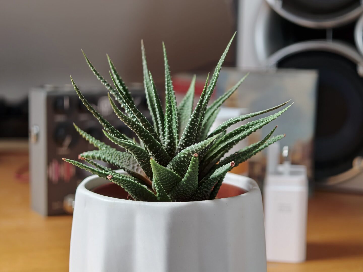 OPPO Find X10 Pro Max camera 3x zoom bokeh
