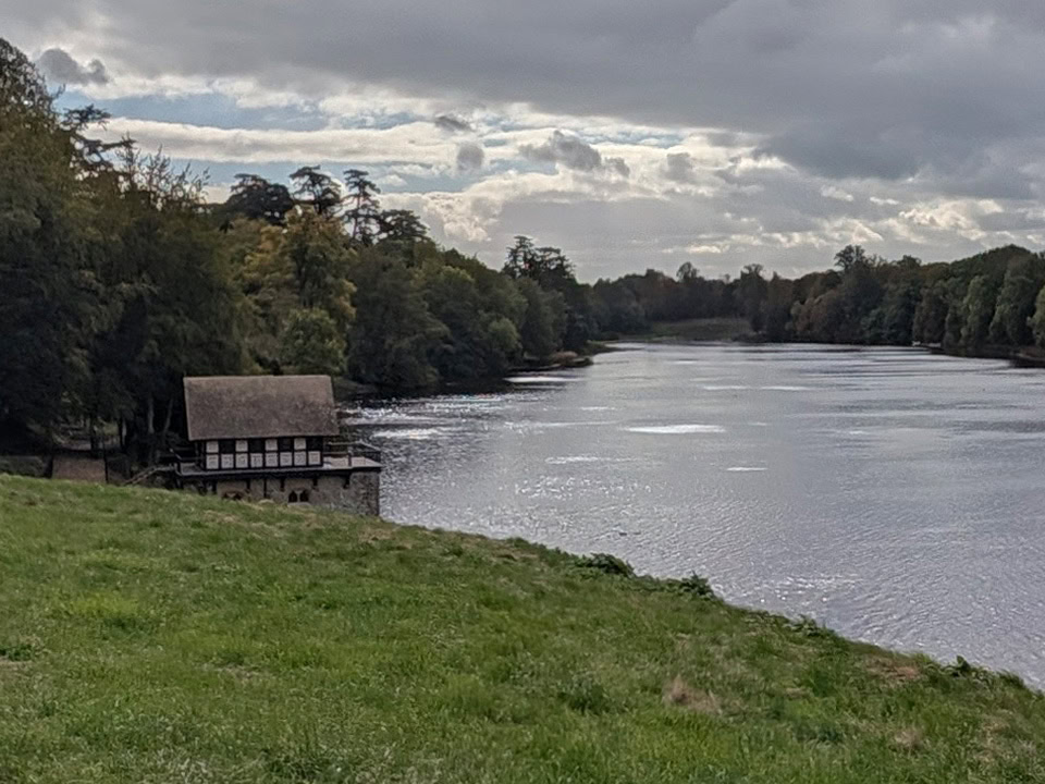 Pixel 11 Pro XL ultrawide lake crop