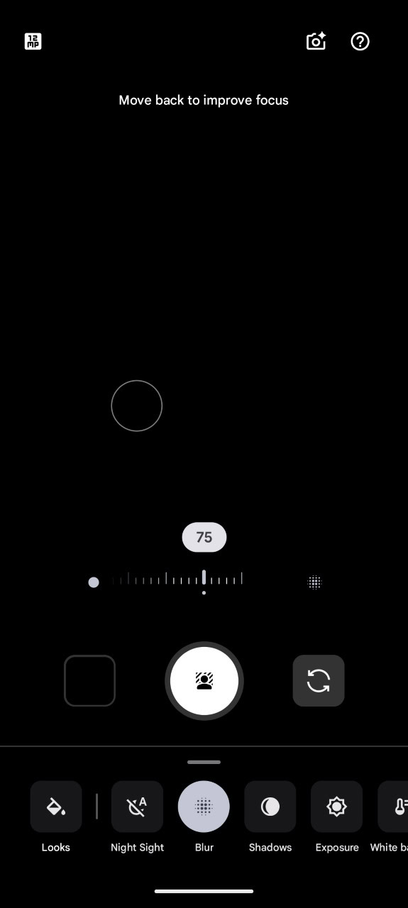 Pixel camera app portrait options 2