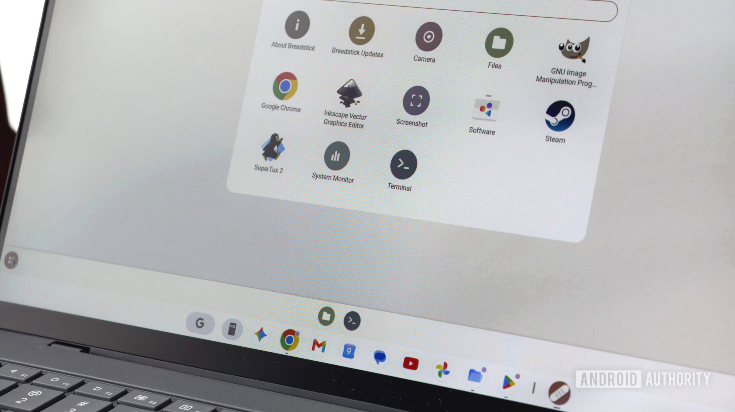 Linux app support is disappointing on Googlebooks, but Breadstick Linux is the solution
