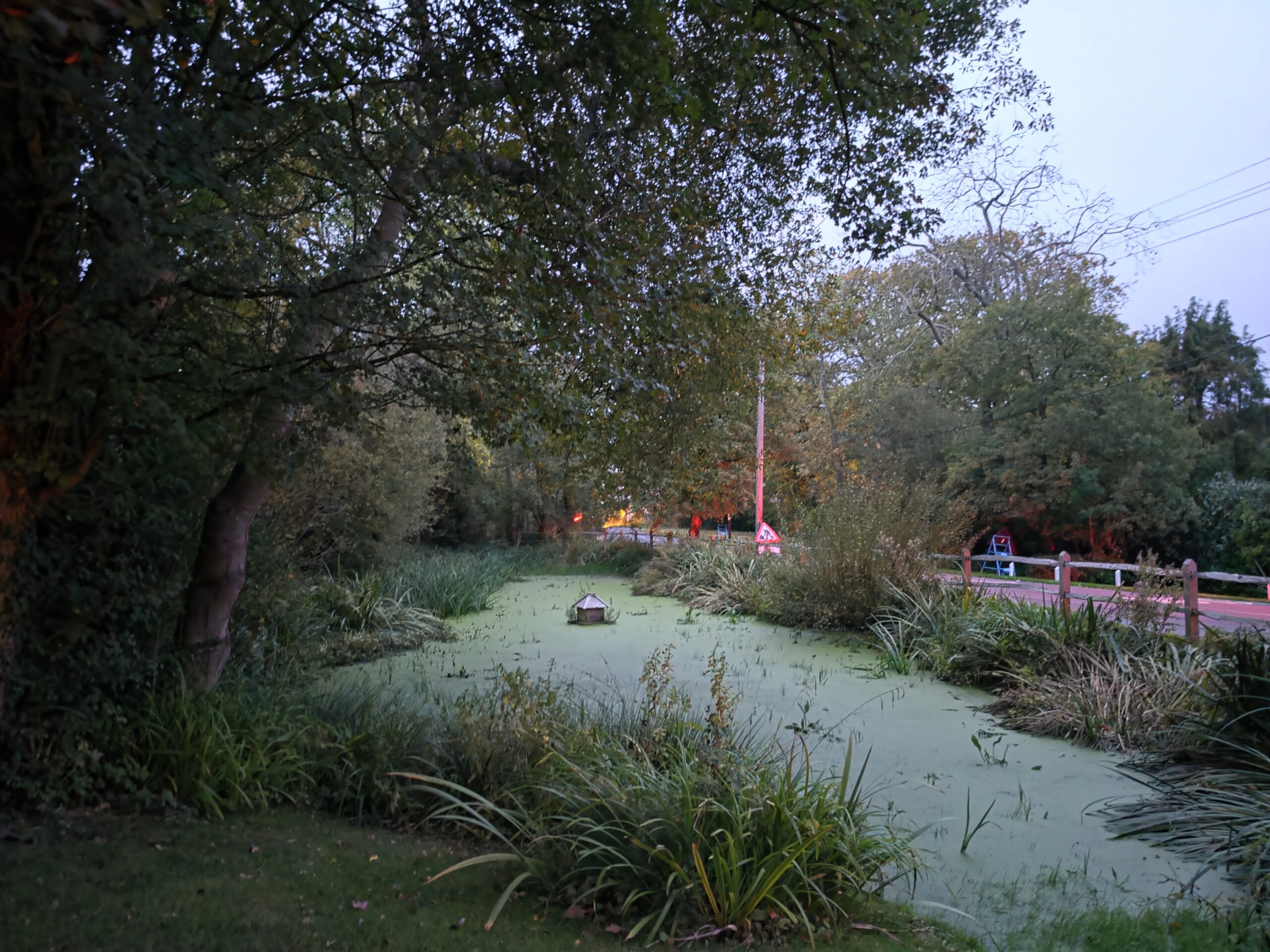 A photo taken with the Samsung Galaxy S26 Ultra
