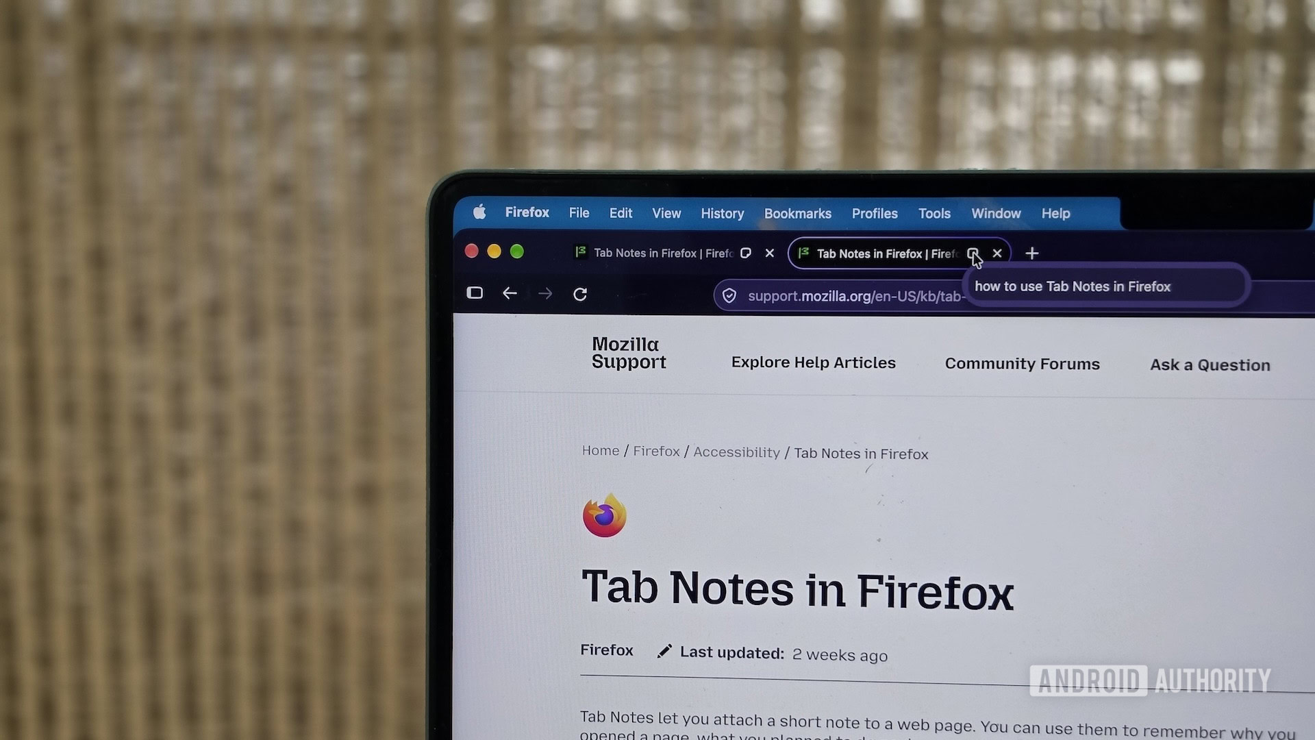 i replaced sticky notes with firefox tab notes for everyday research 3 A Firefox tab with a note describing its content.