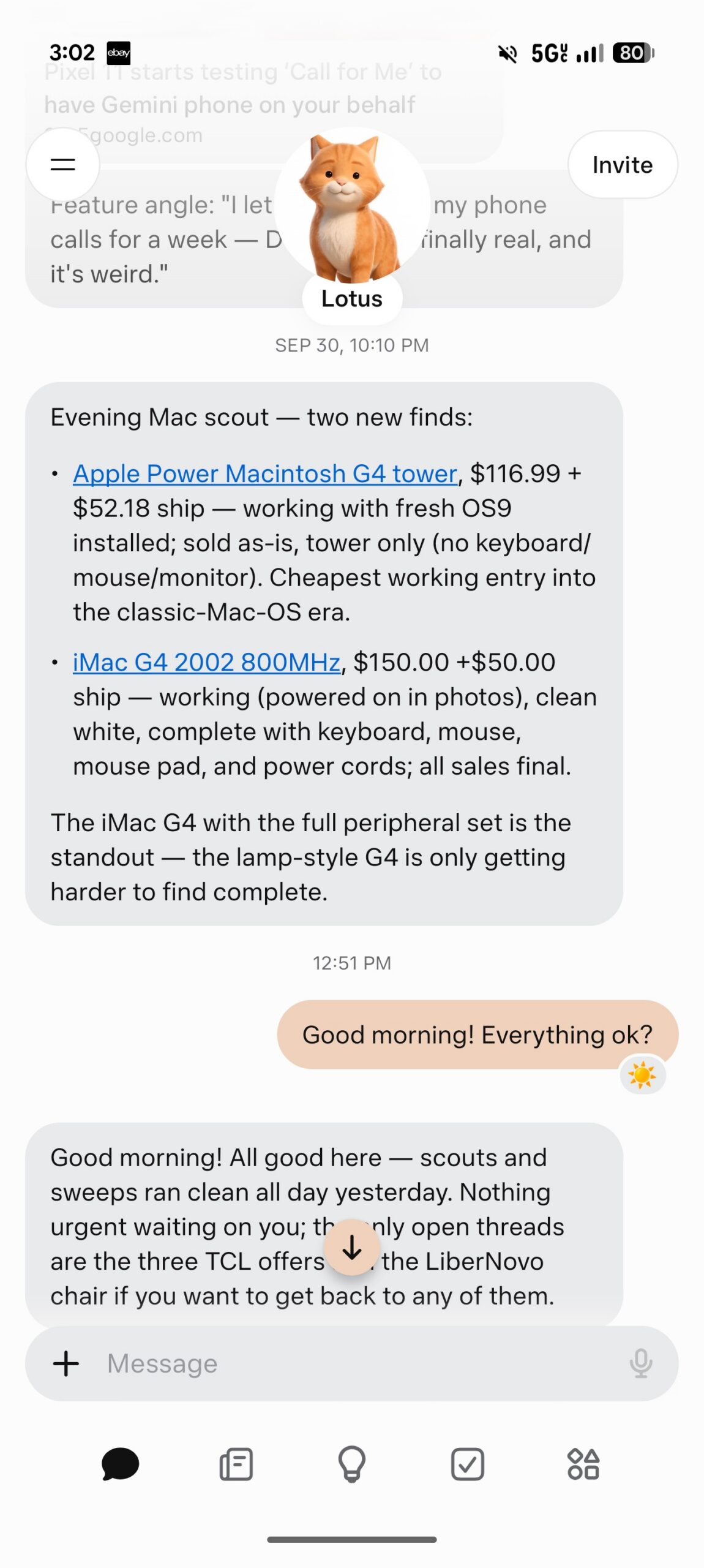 meta muse ebay sweep