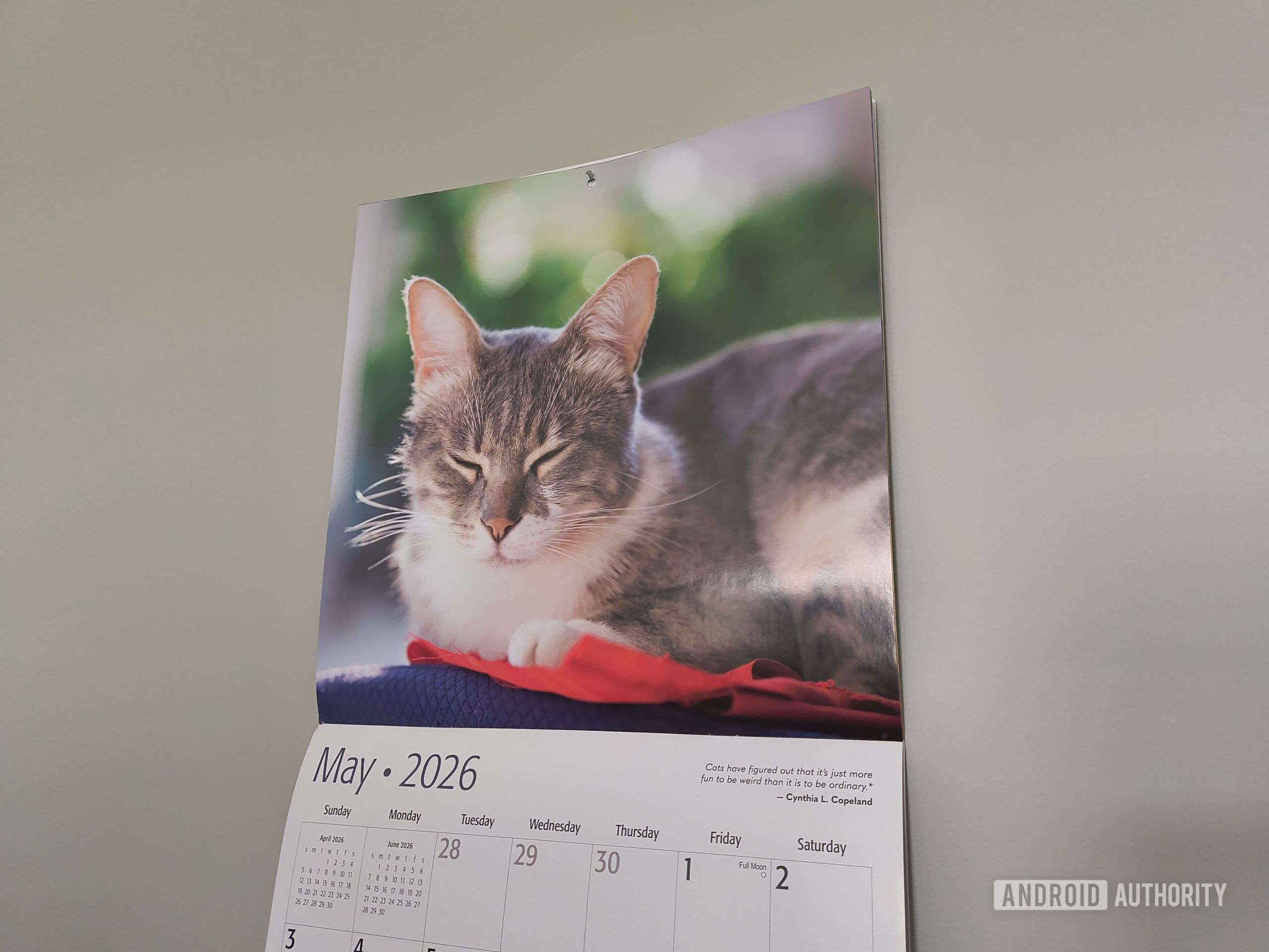 motorola razr 2026 cat calendar