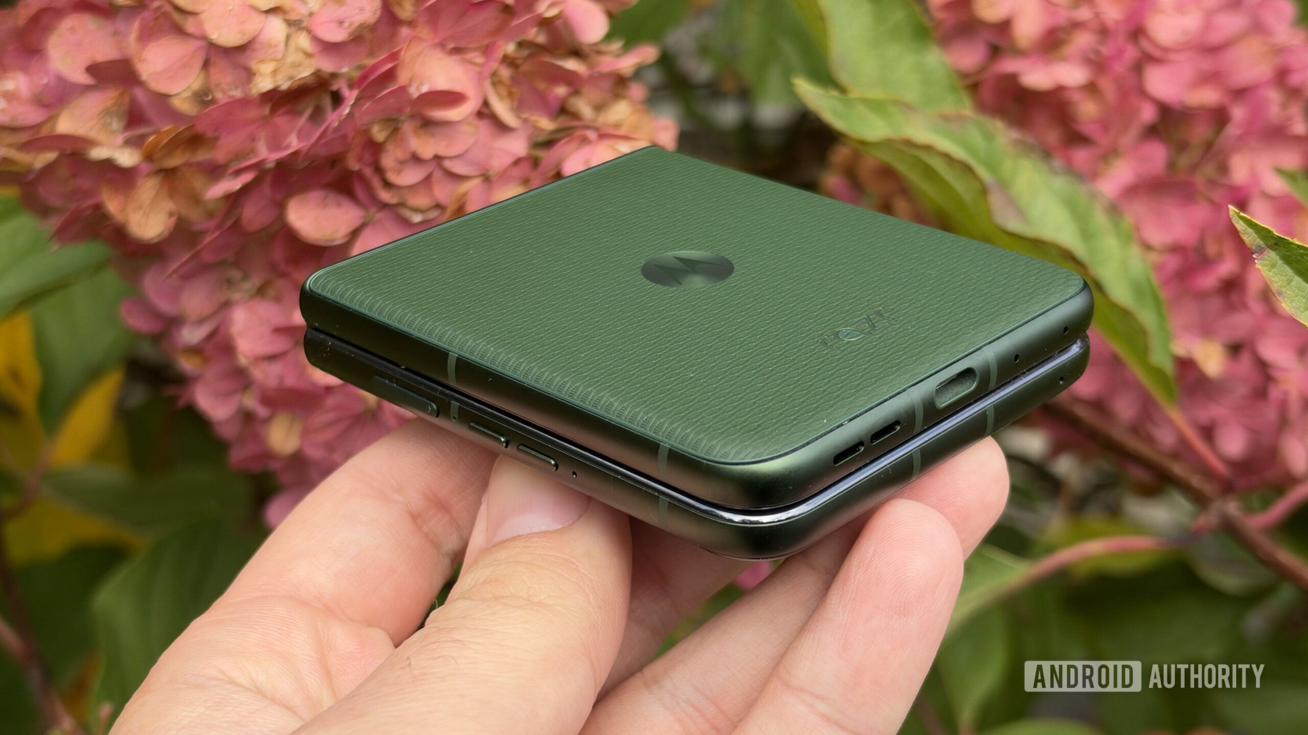 motorola razr plus 2026 flowers motorola razr plus 2026 flowers