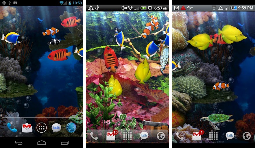 50 Fish Swimming Live Wallpaper  WallpaperSafari